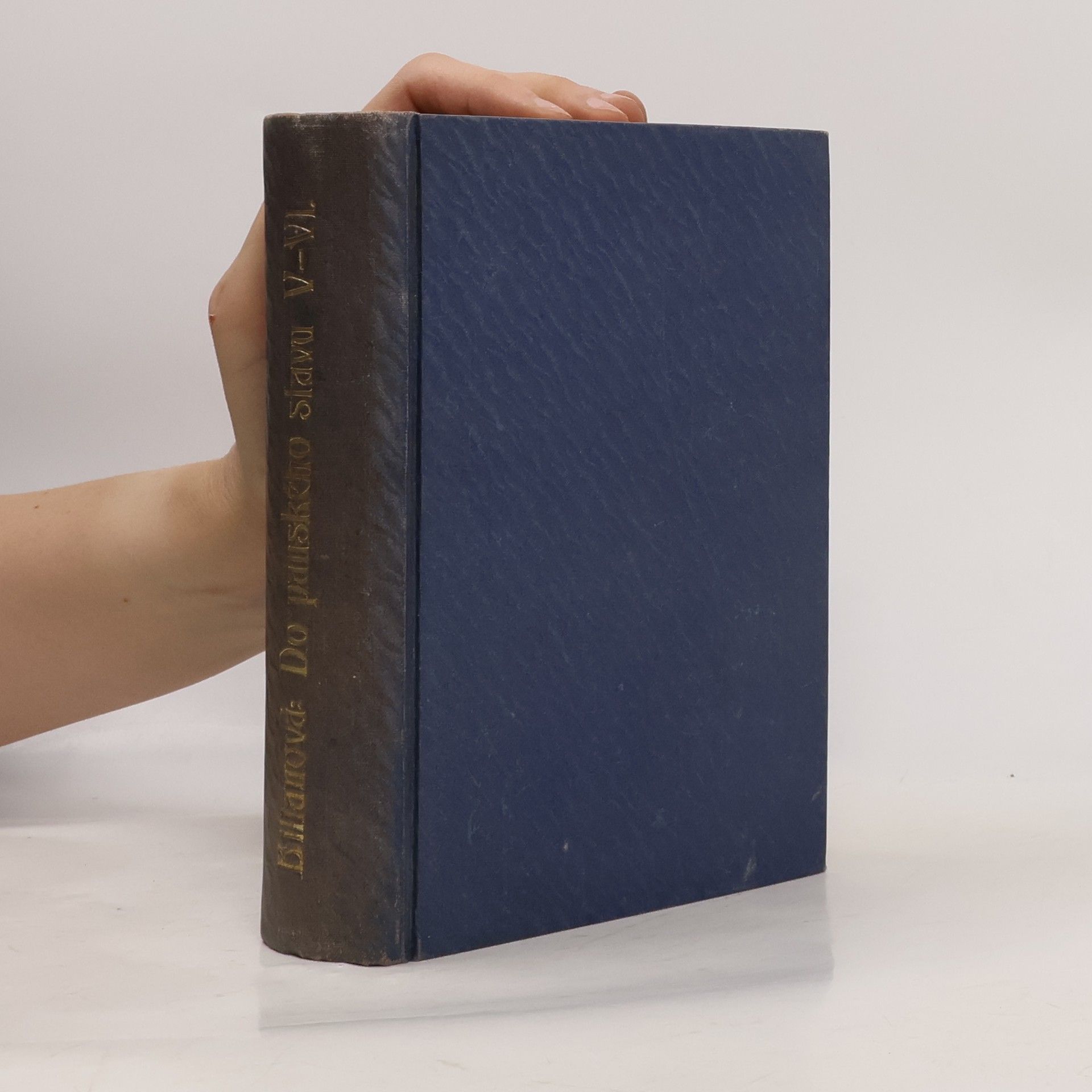 Popelka Biliánová Do panského stavu 5