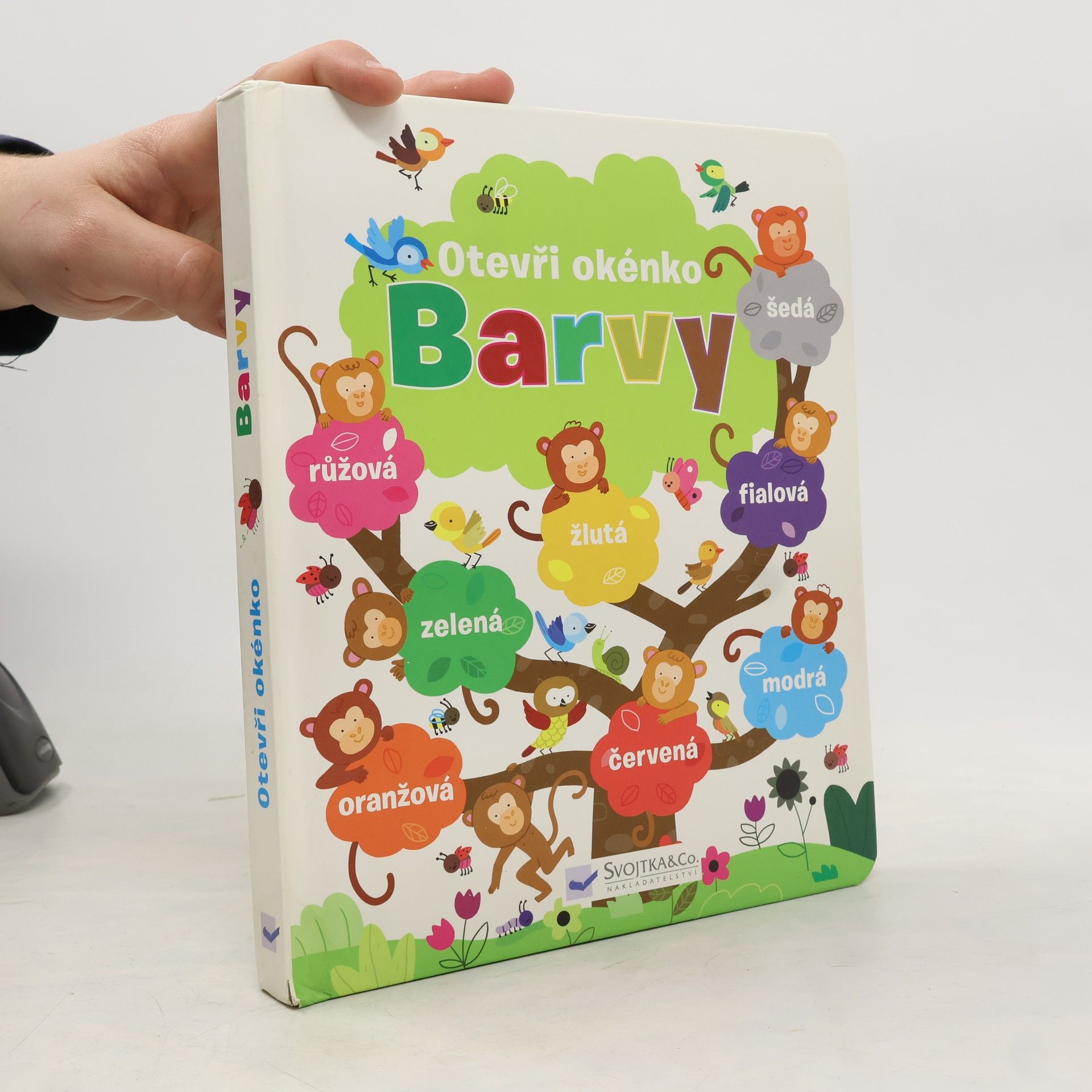 Felicity Brooks Barvy: Otevři okénko (pop-up)