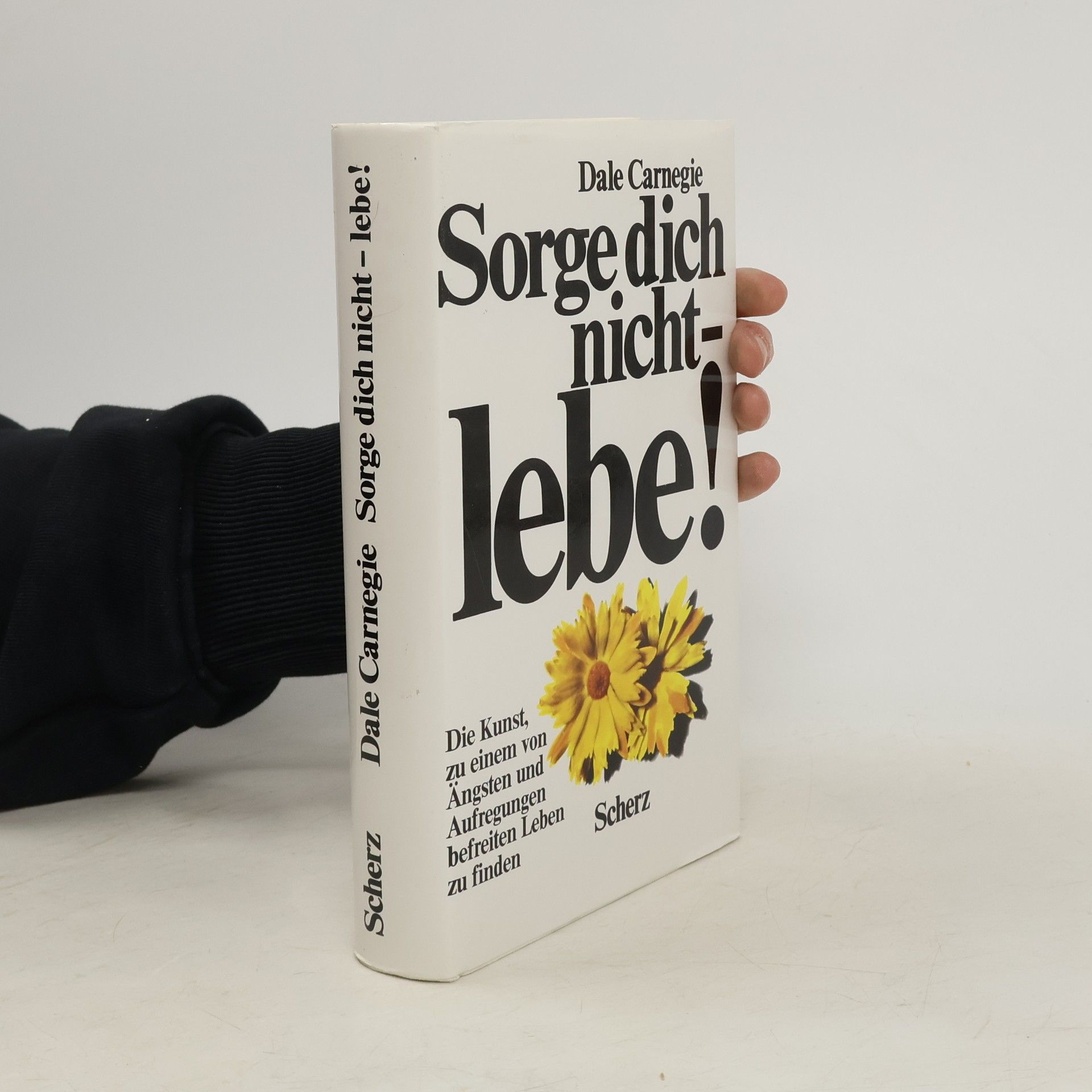 Dale Carnegie Sorge dich nicht - lebe!