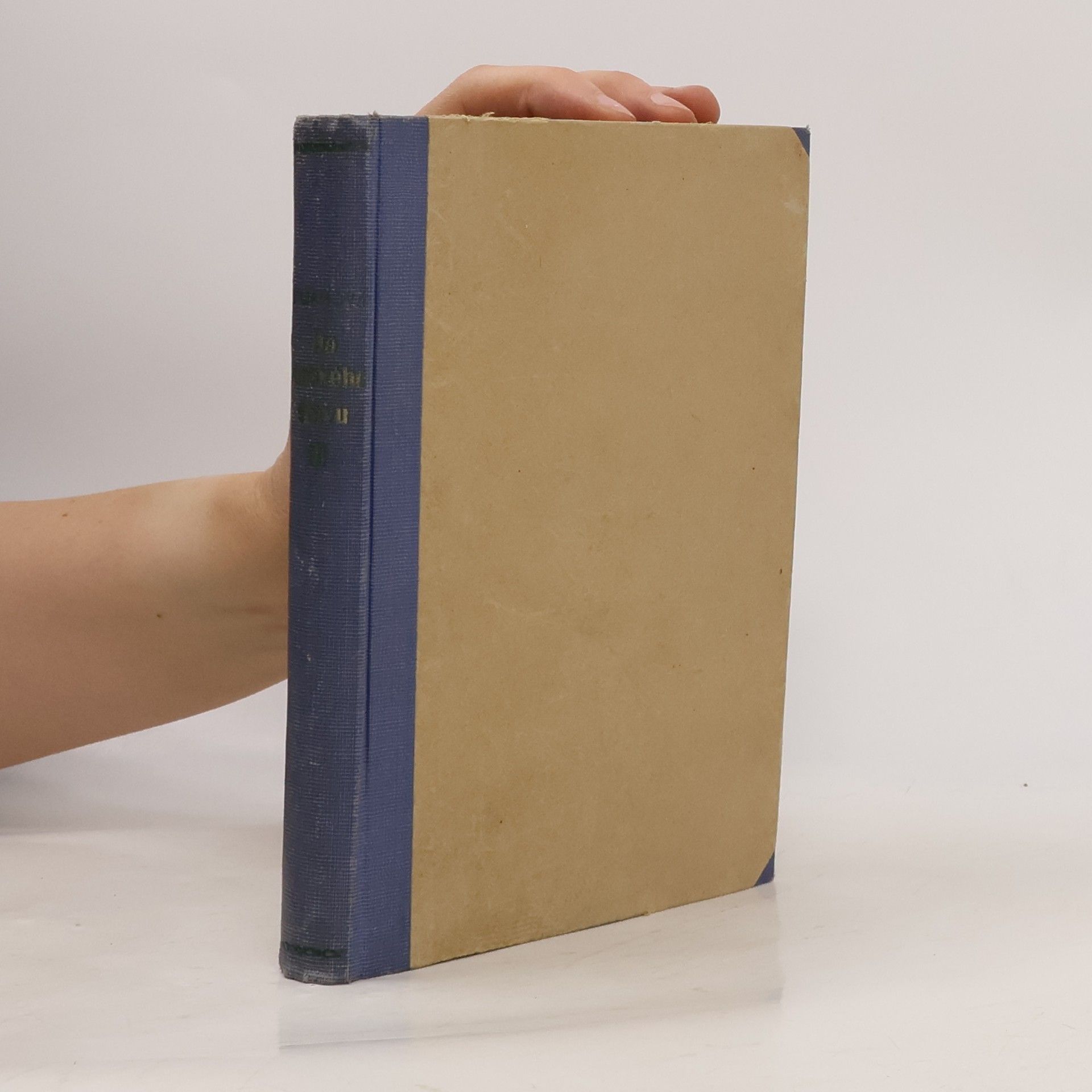 Popelka Biliánová Do panského stavu III