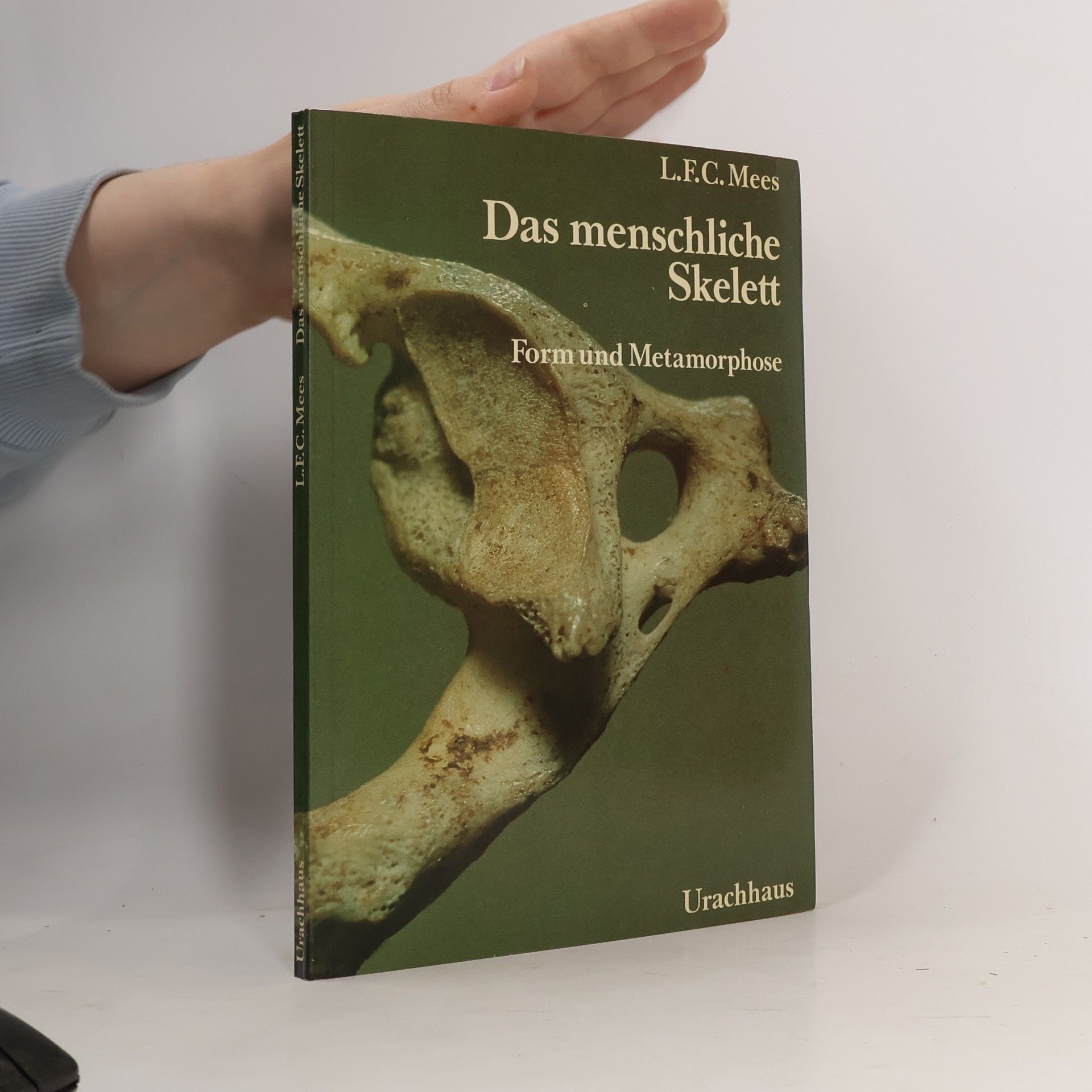 Leendert F. C. Mees Das menschliche Skelett