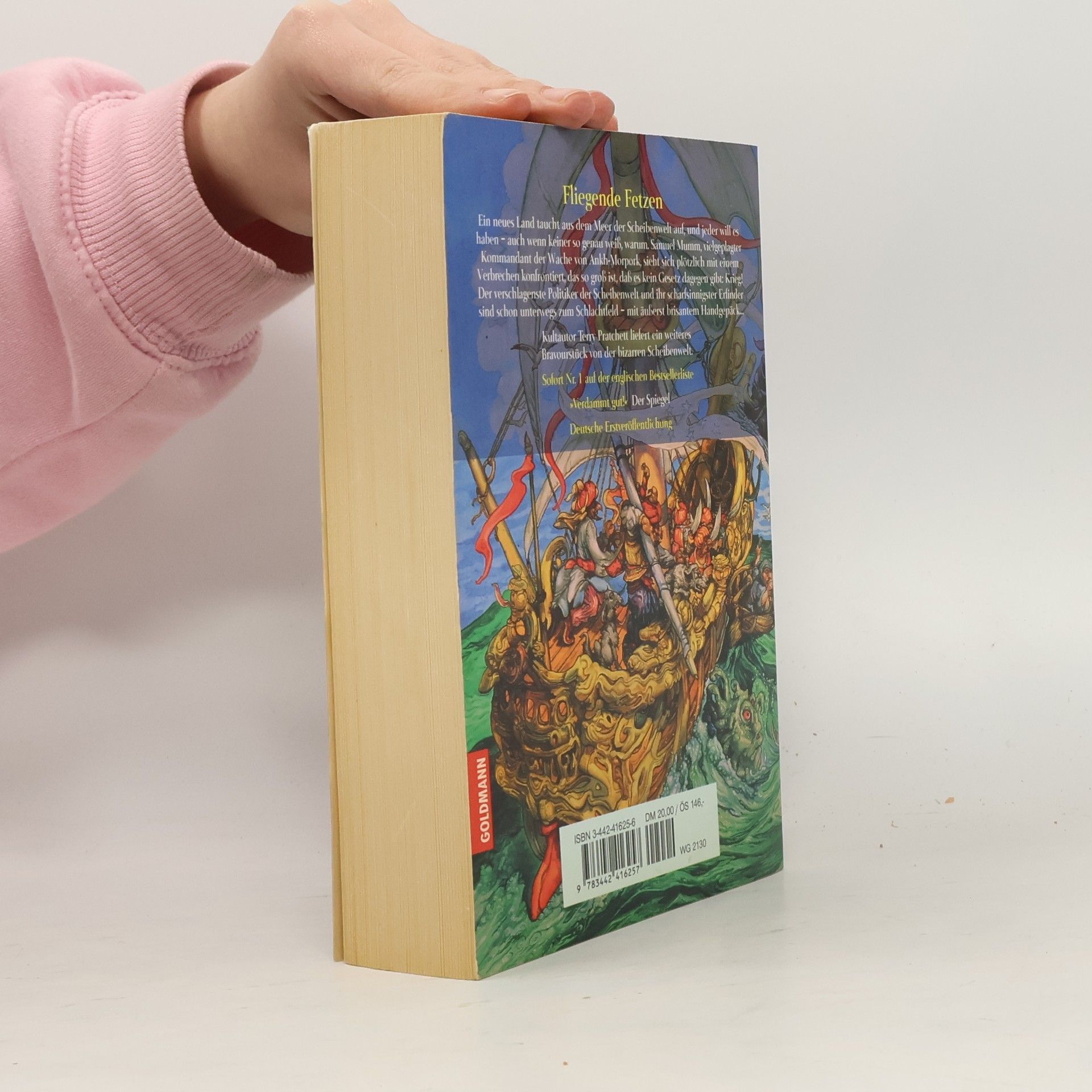 Terry Pratchett Fliegende Fetzen