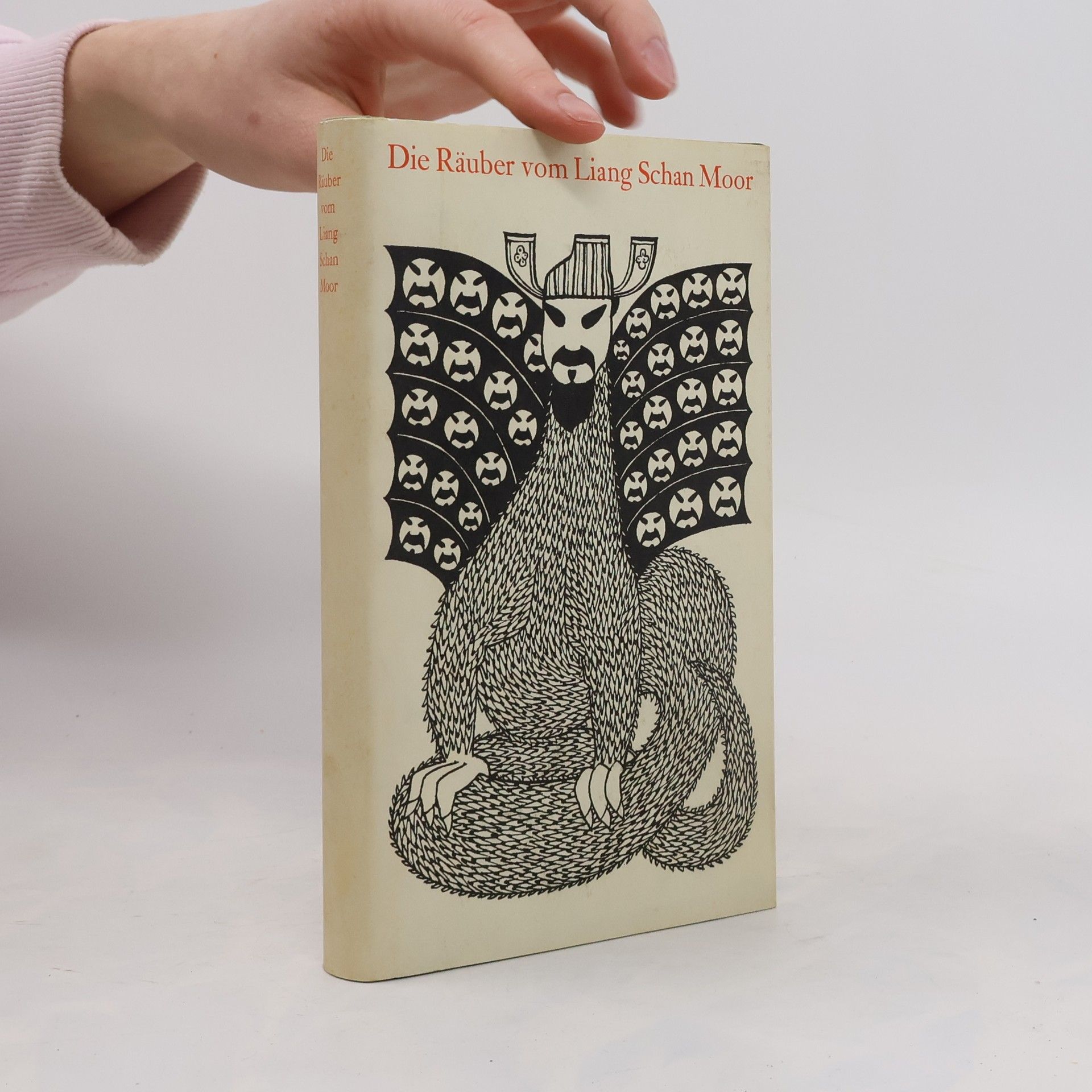 Kolektiv autorů Die Räuber vom Liang Schan Moor