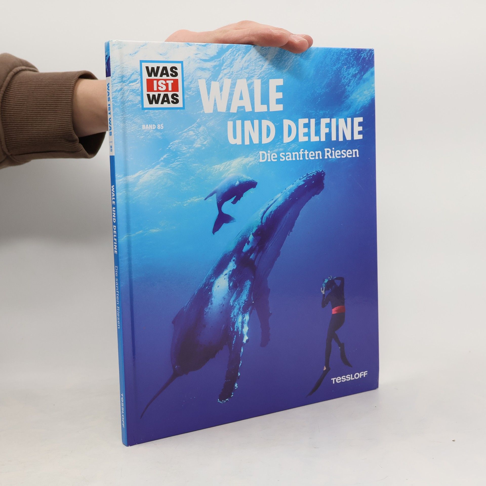 Manfred Baur Wale und Delfine