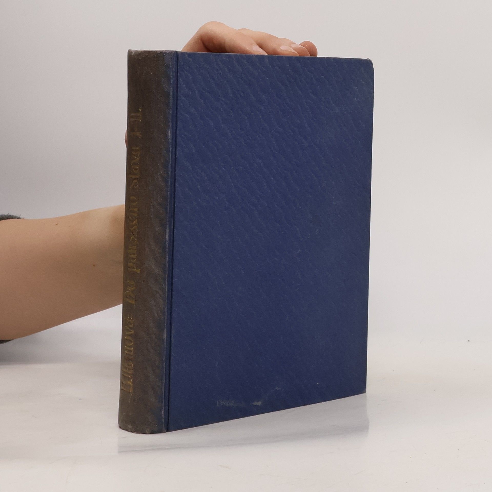 Popelka Biliánová Do panského stavu I