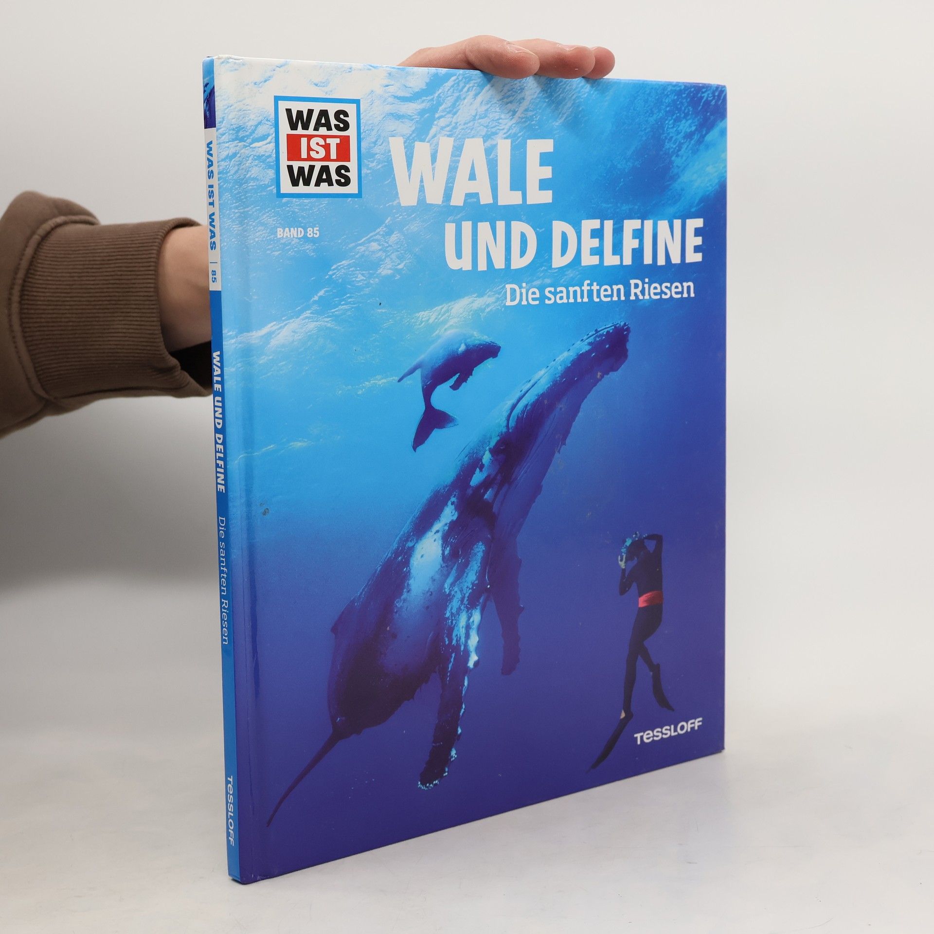 Manfred Baur Wale und Delfine