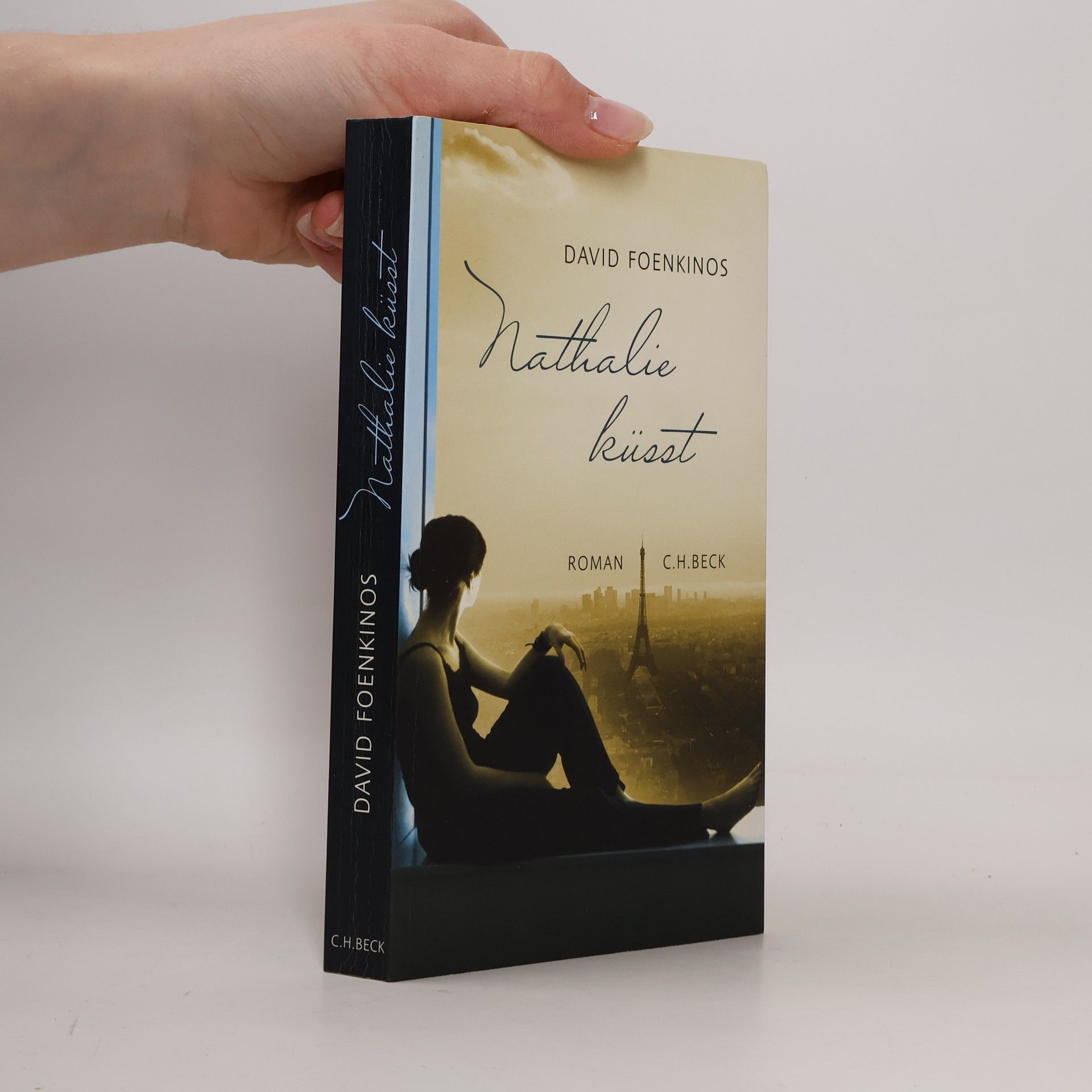 David Foenkinos Nathalie küsst