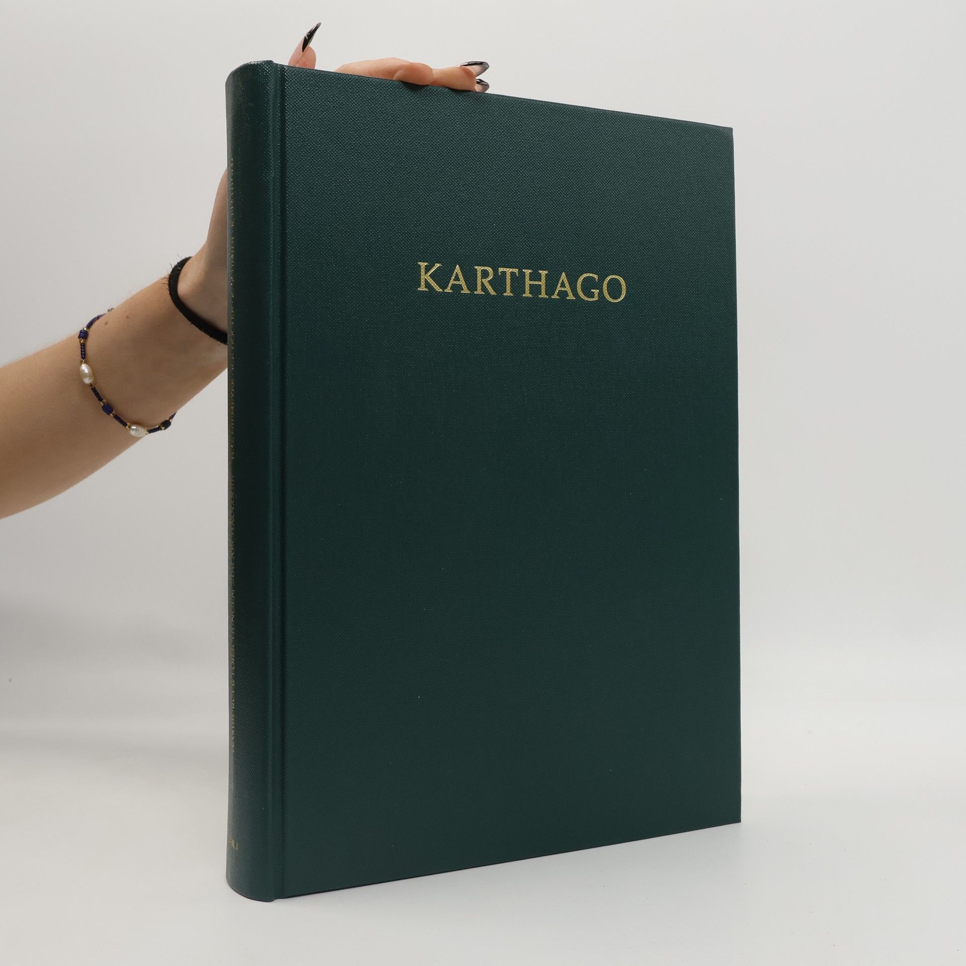 Hans Georg Niemeyer Karthago