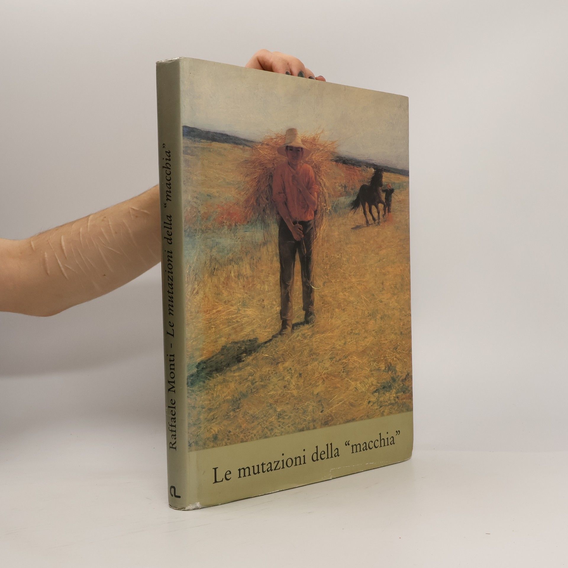 Rafael Monti Le mutazioni della "macchia”