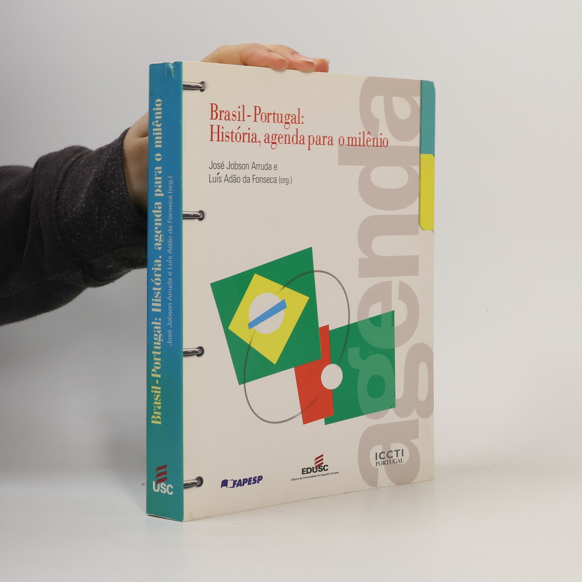 Brasil-Portugal--história, agenda para o milênio