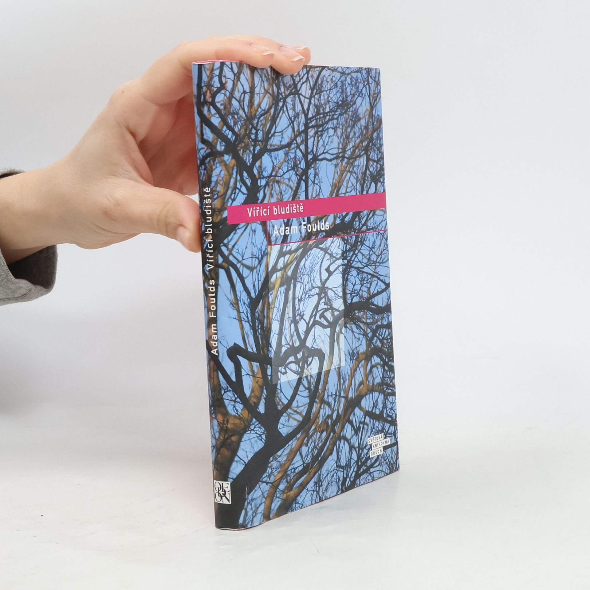 Adam Foulds Vířící bludiště