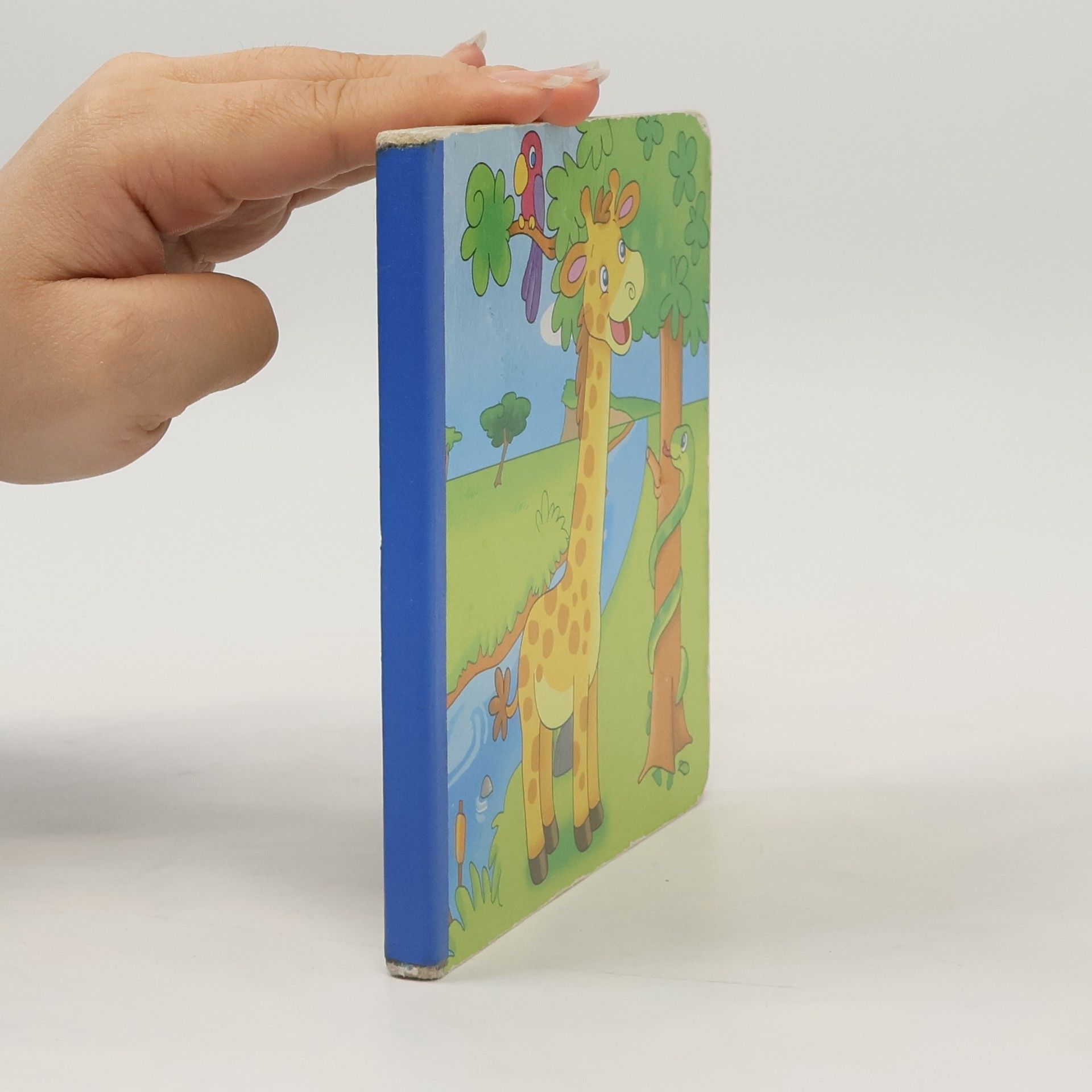 Autorenkollektiv Boeken voor jonge kinderen met kartonnen dozen