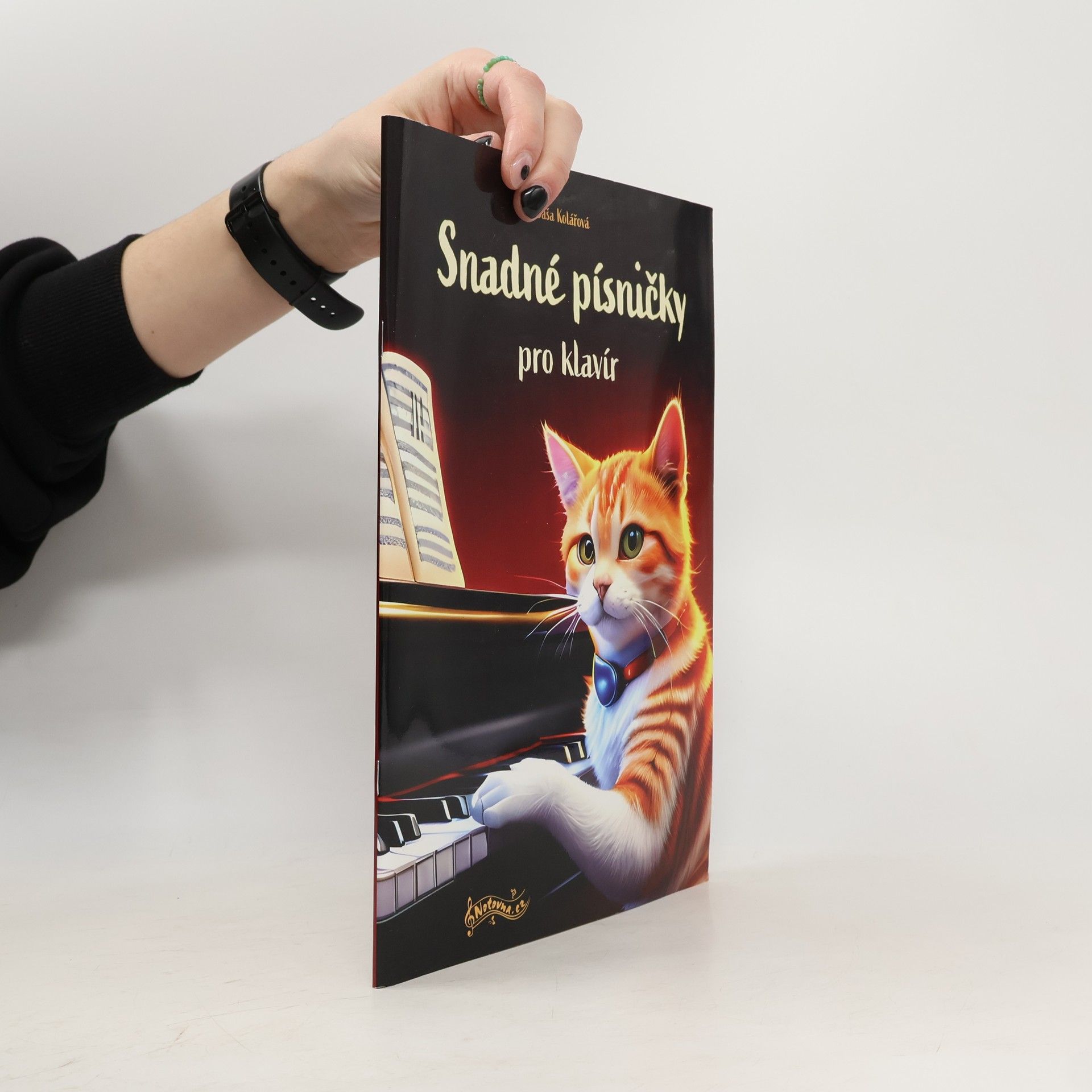 Aleš Bořík Snadné písničky pro klavír