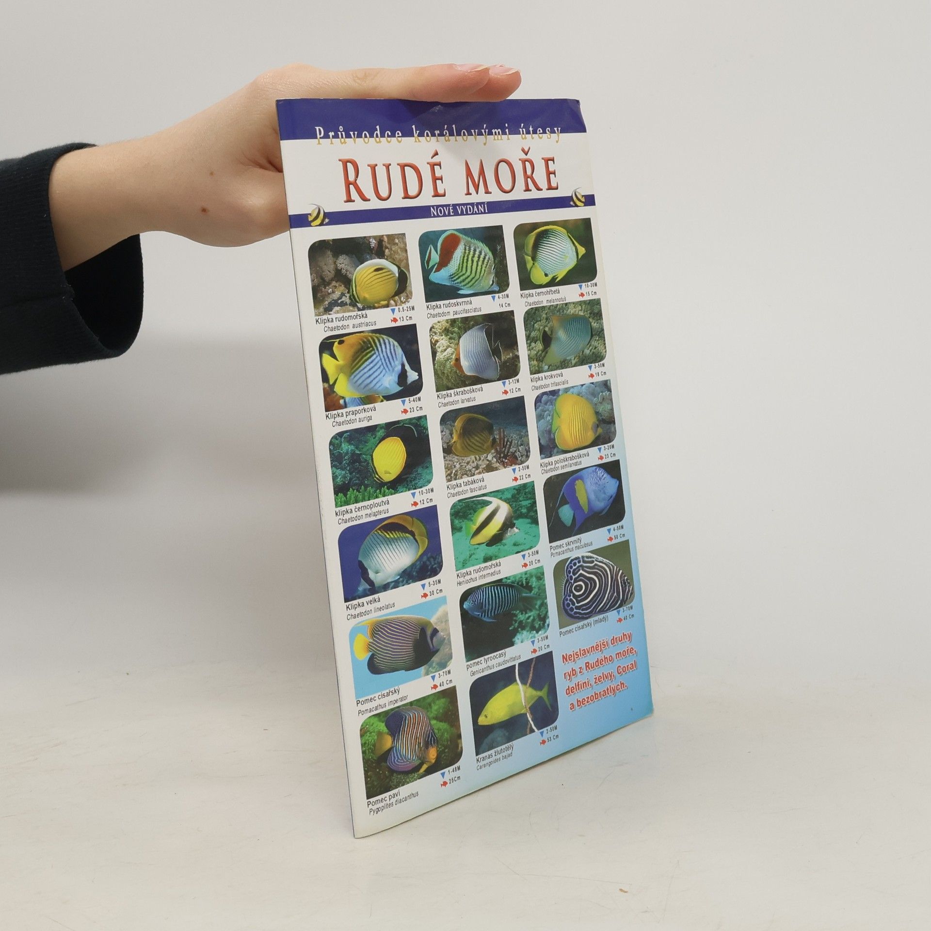 Kolektiv autorů Průvodce korálovými útesy. Rudé moře