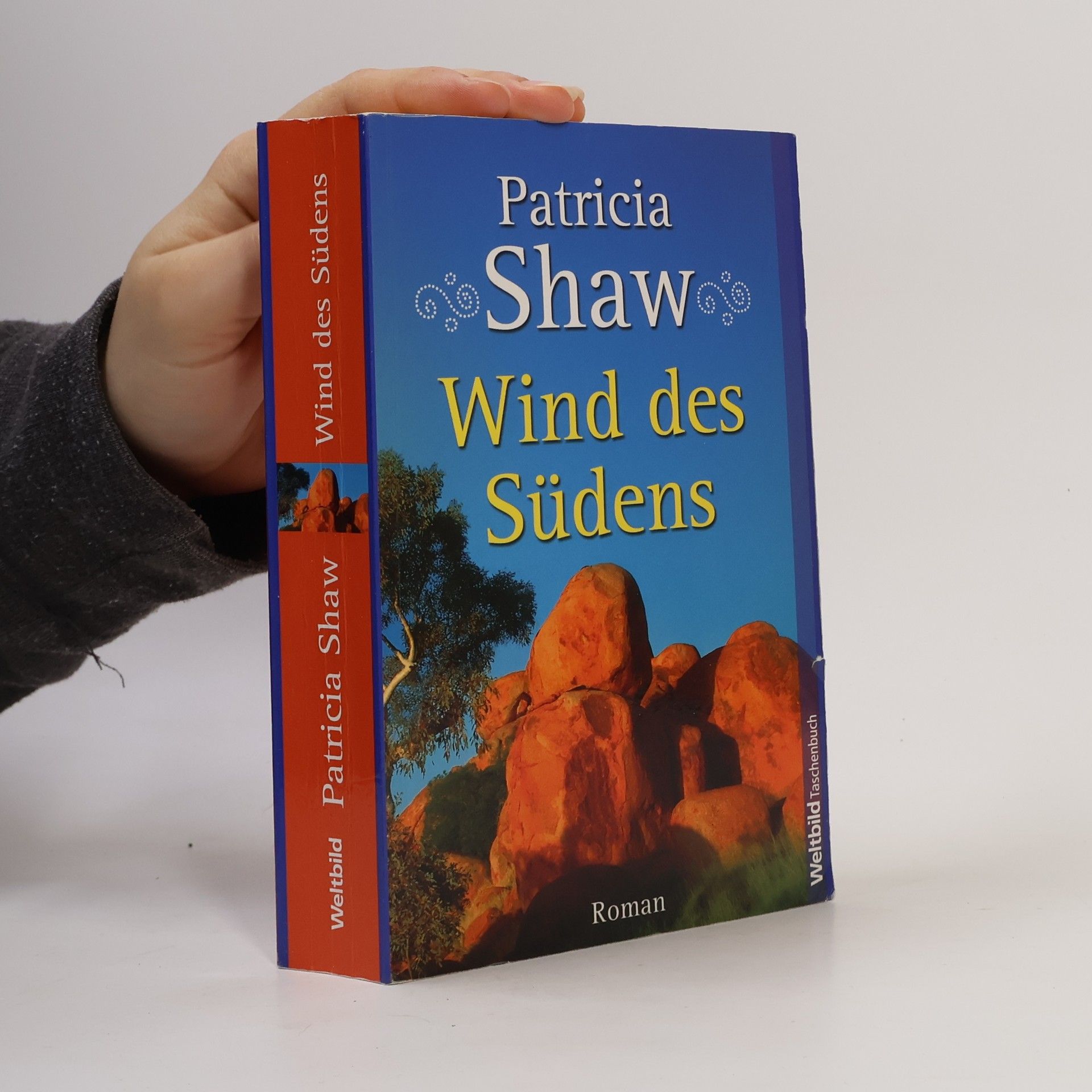 Patricia Shaw Wind des Südens