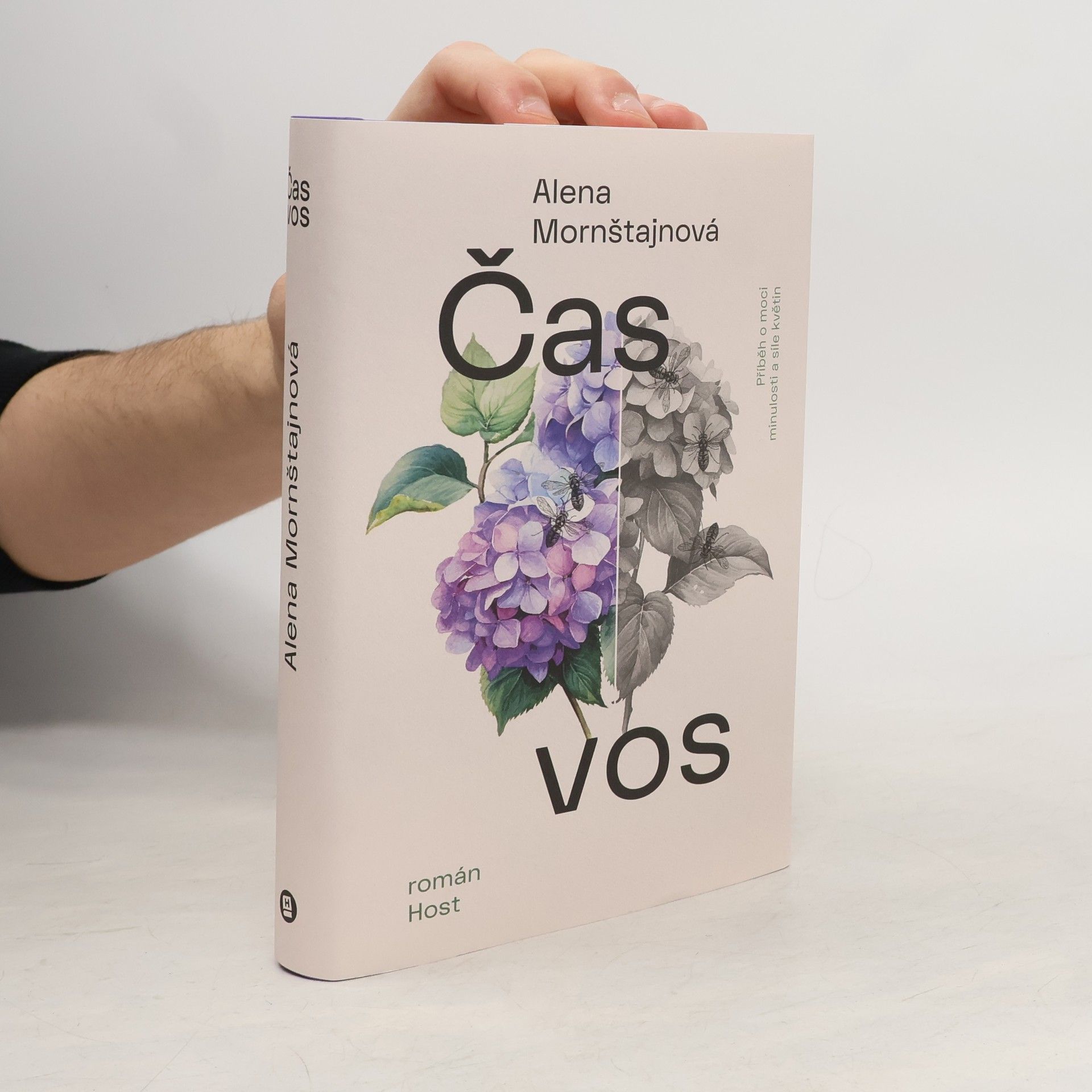 Alena Mornštajnová Čas vos