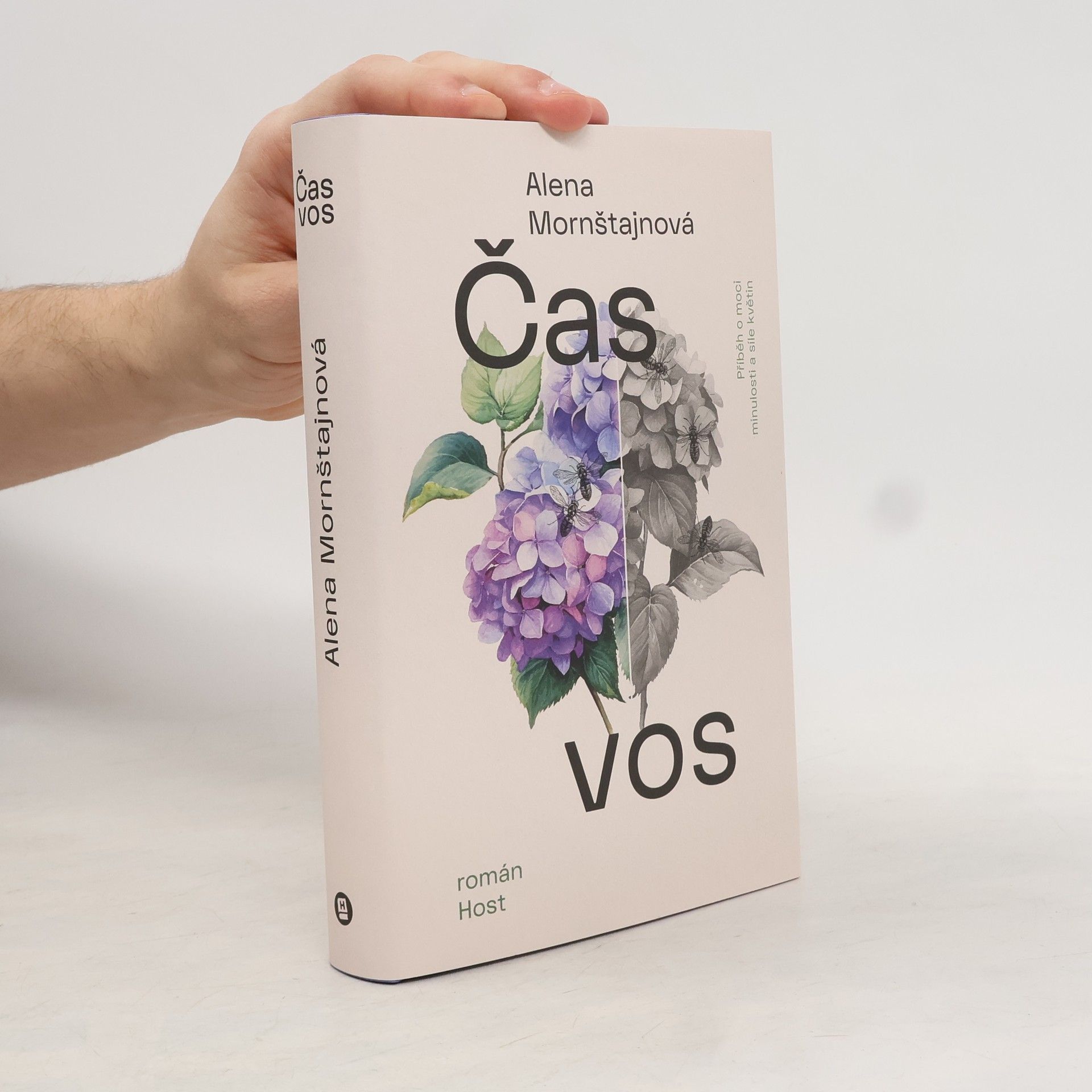 Alena Mornštajnová Čas vos