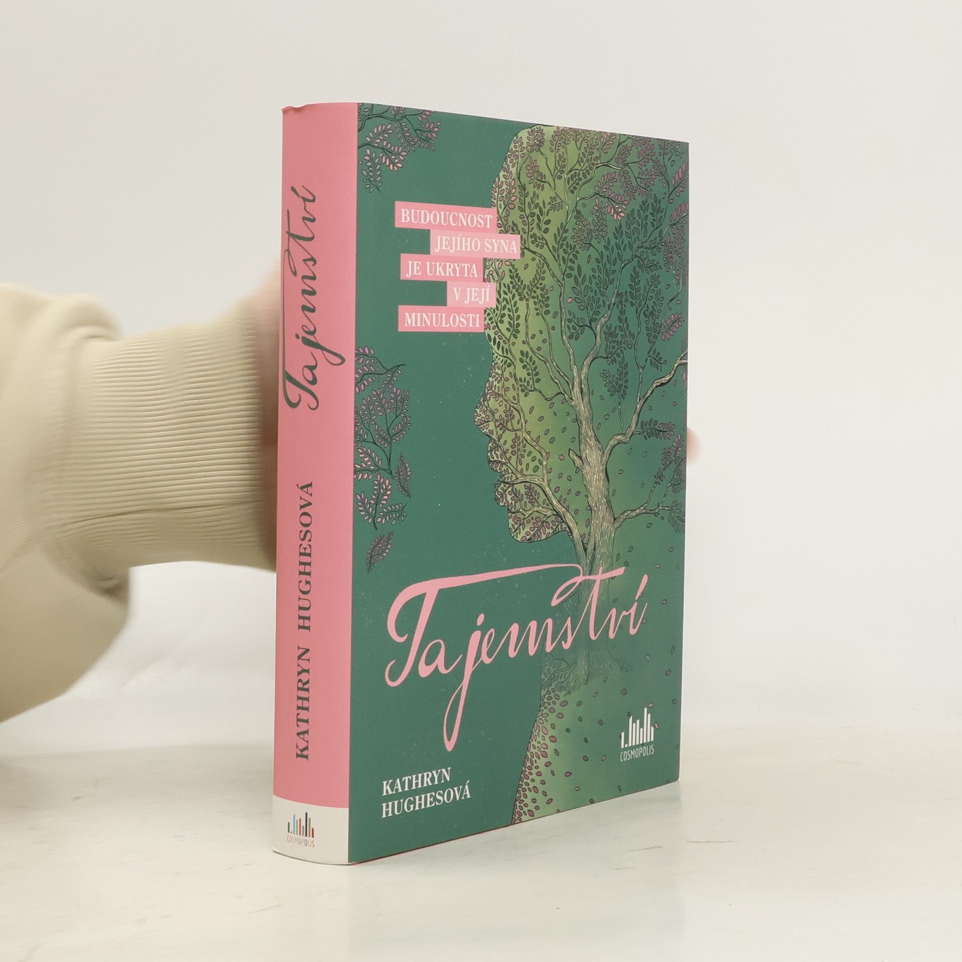 Kathryn Hughes Tajemství