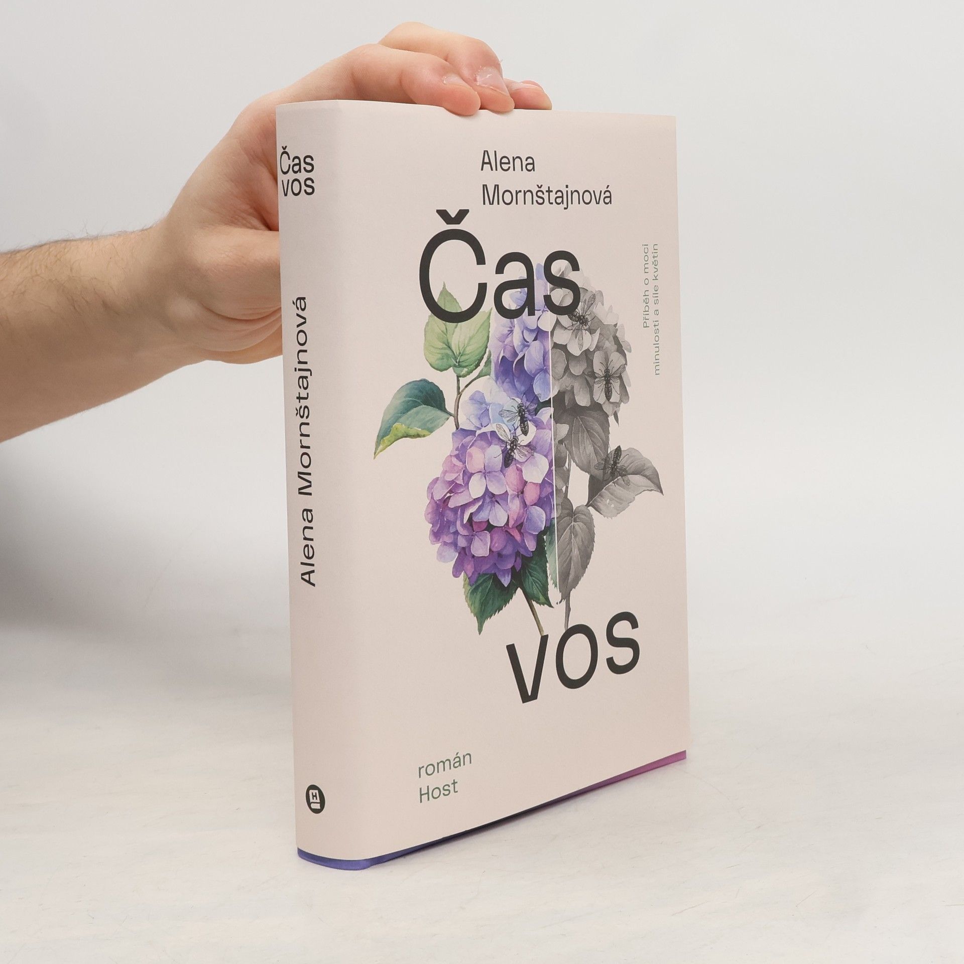 Alena Mornštajnová Čas vos