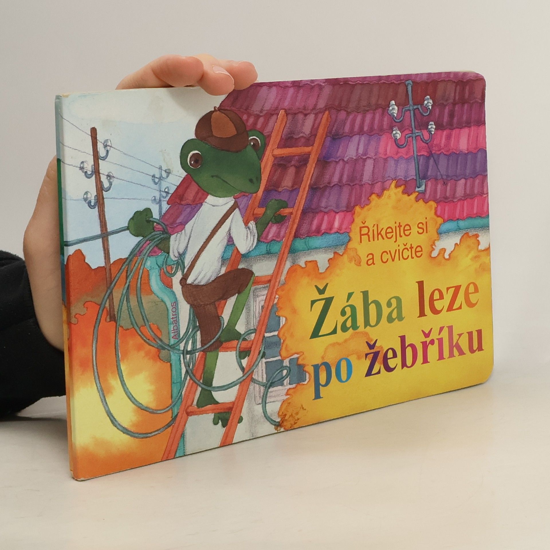 Autorenkollektiv Žába leze po žebříku