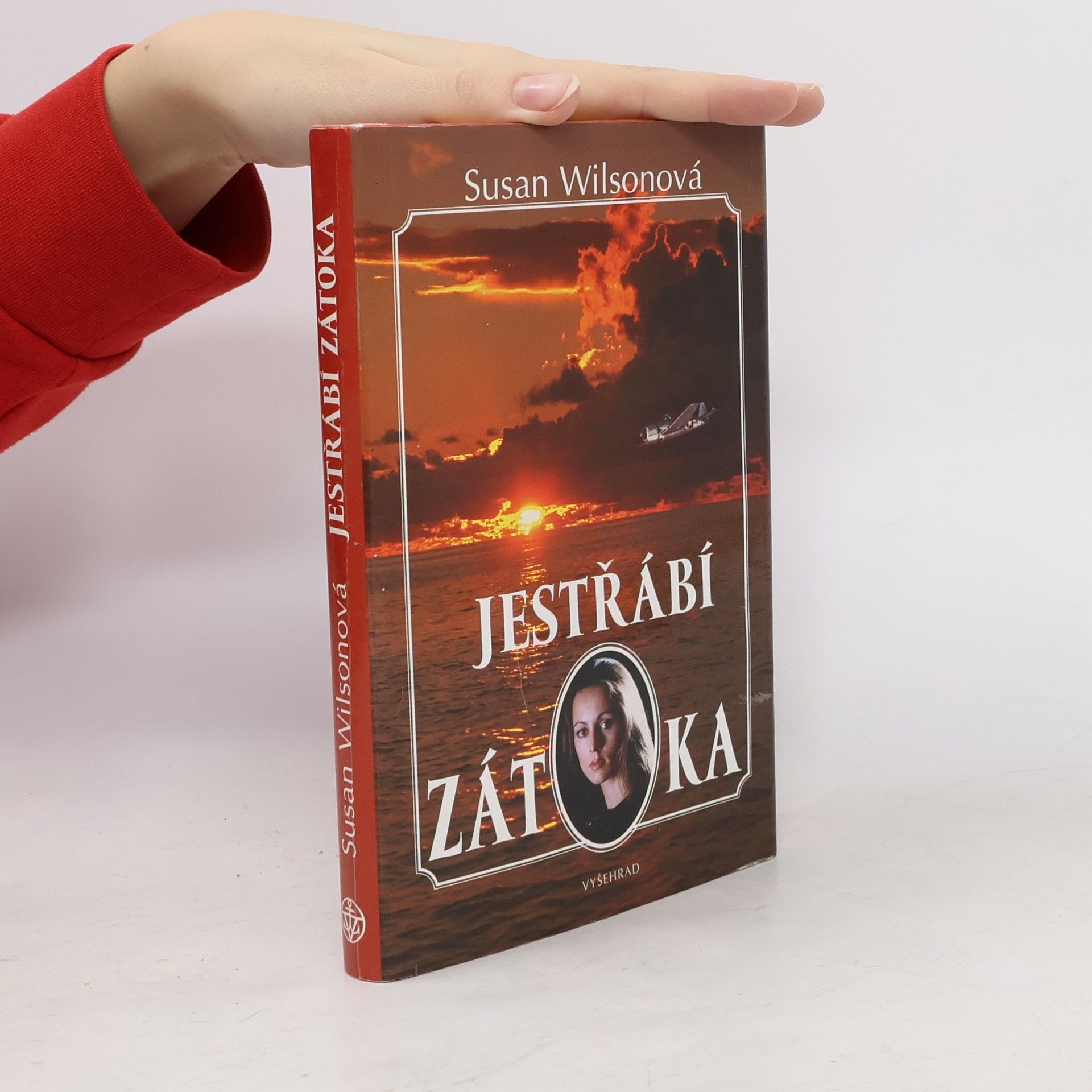 Susan Wilson Jestřábí zátoka