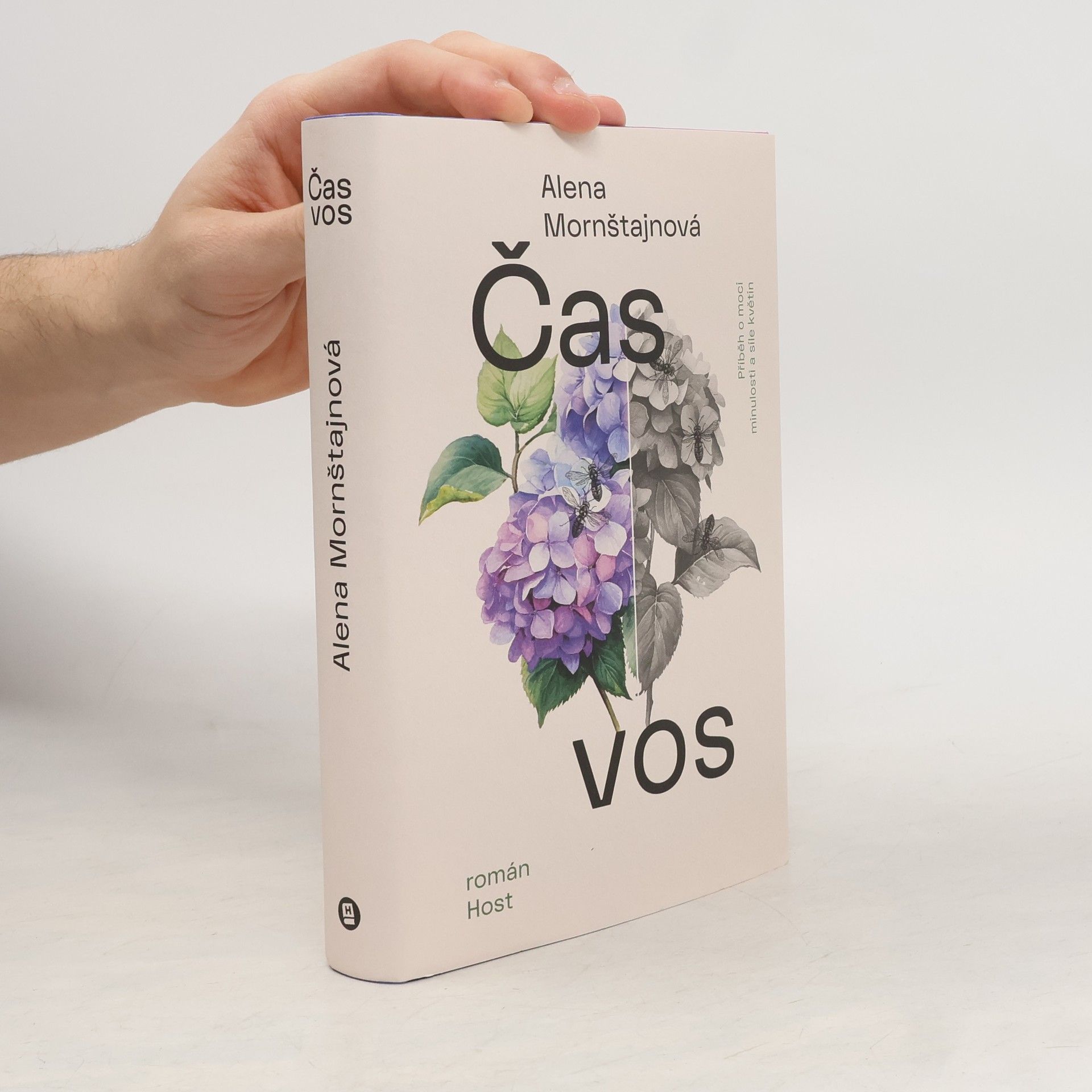 Alena Mornštajnová Čas vos