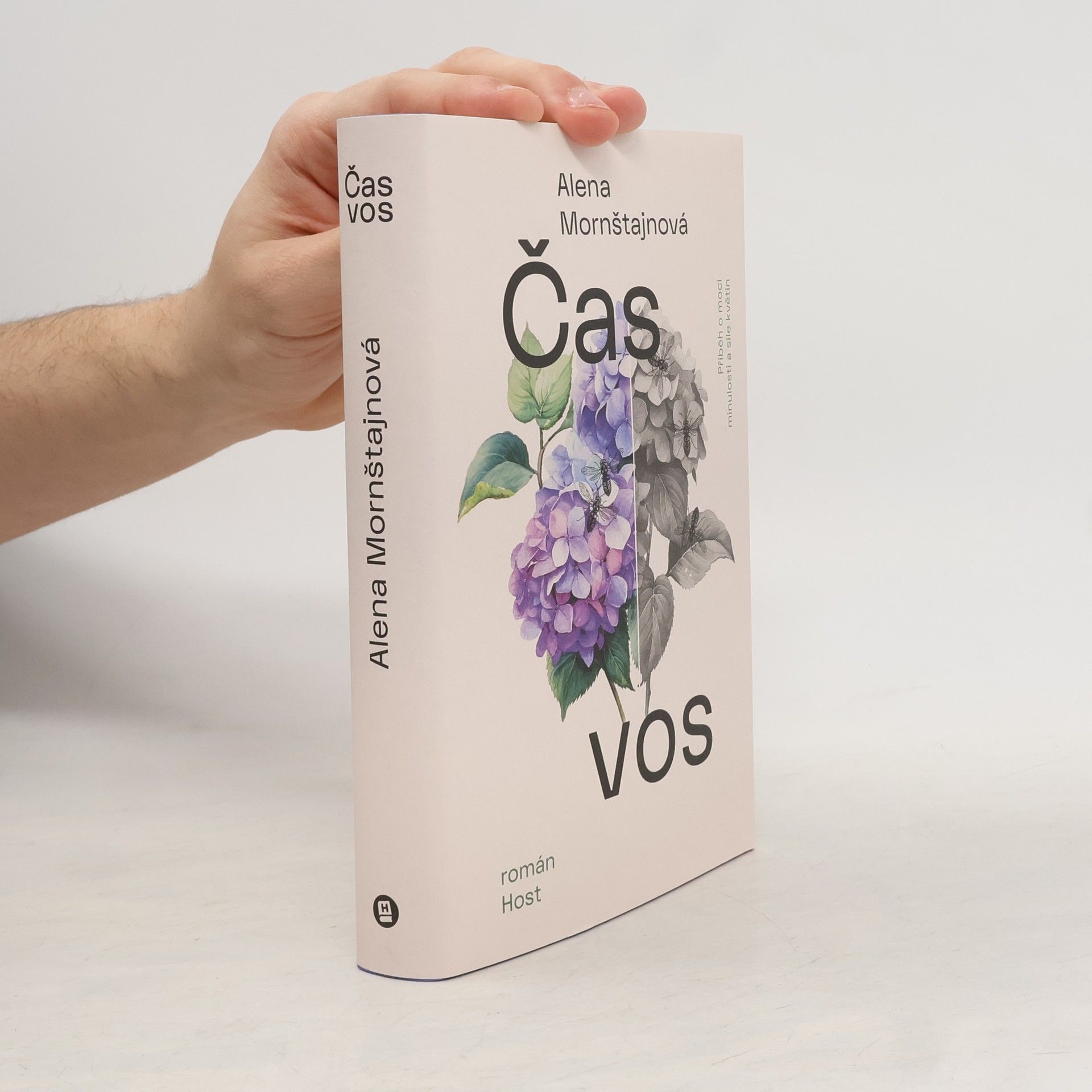 Alena Mornštajnová Čas vos