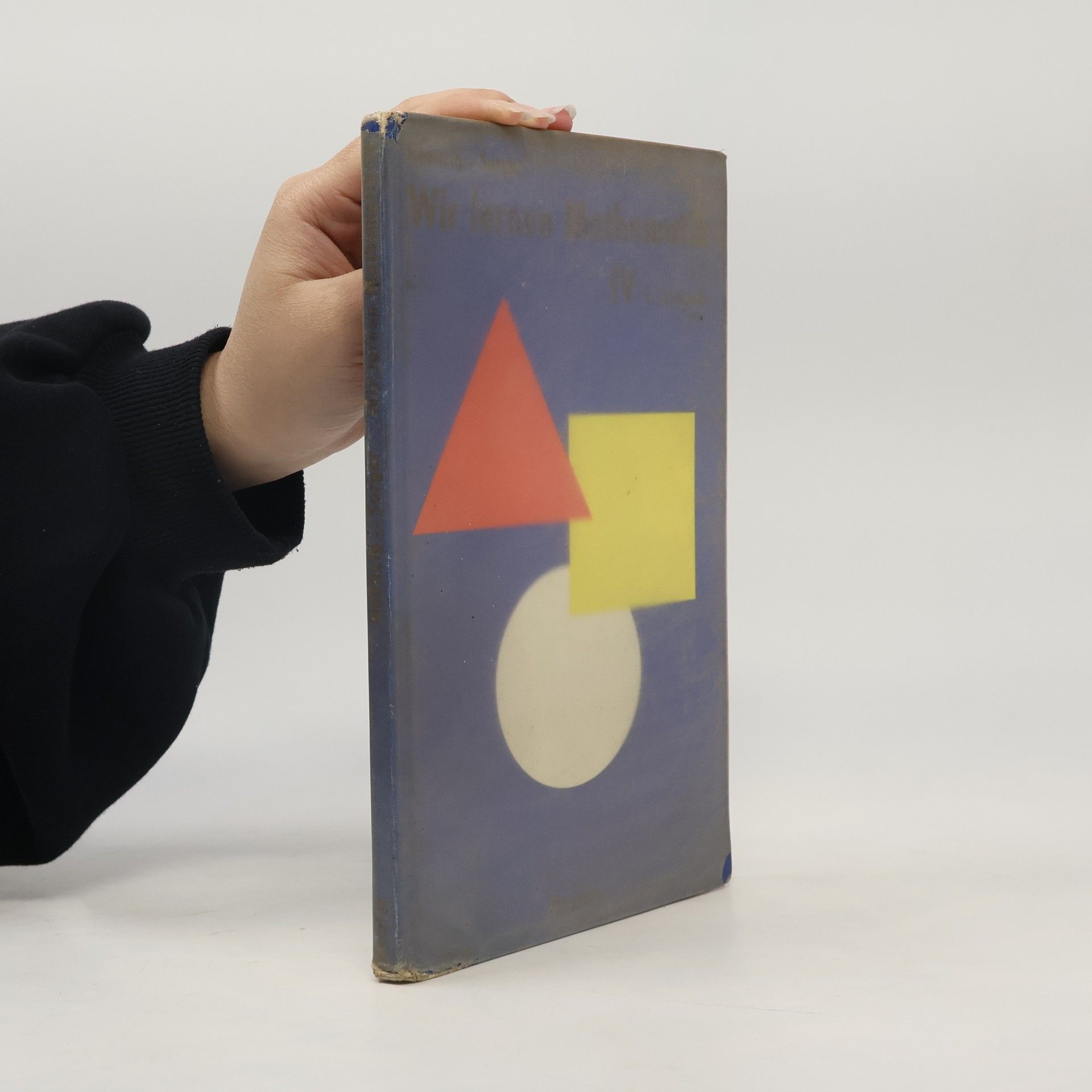 Kolektiv autorů Wir lernen Mathematik IV