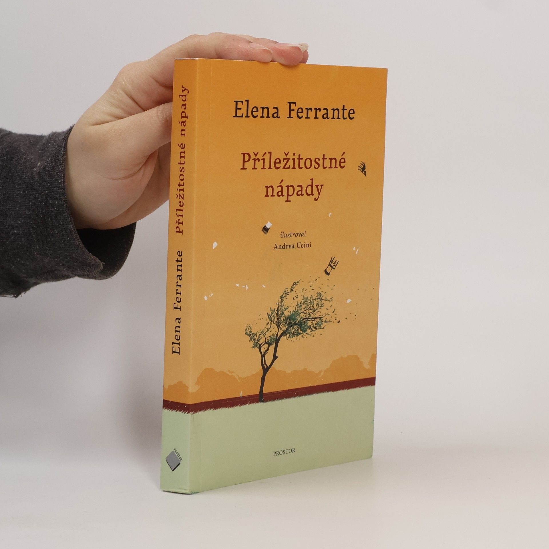 Elena Ferrante Příležitostné nápady