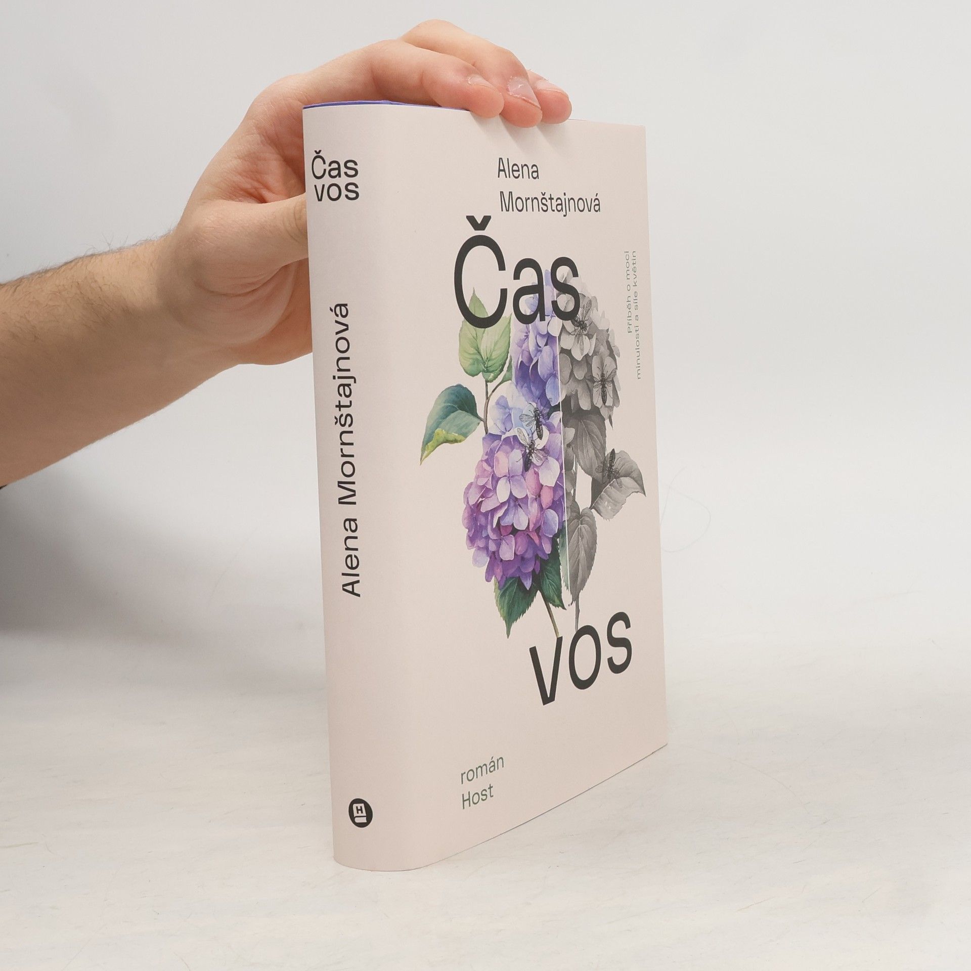 Alena Mornštajnová Čas vos