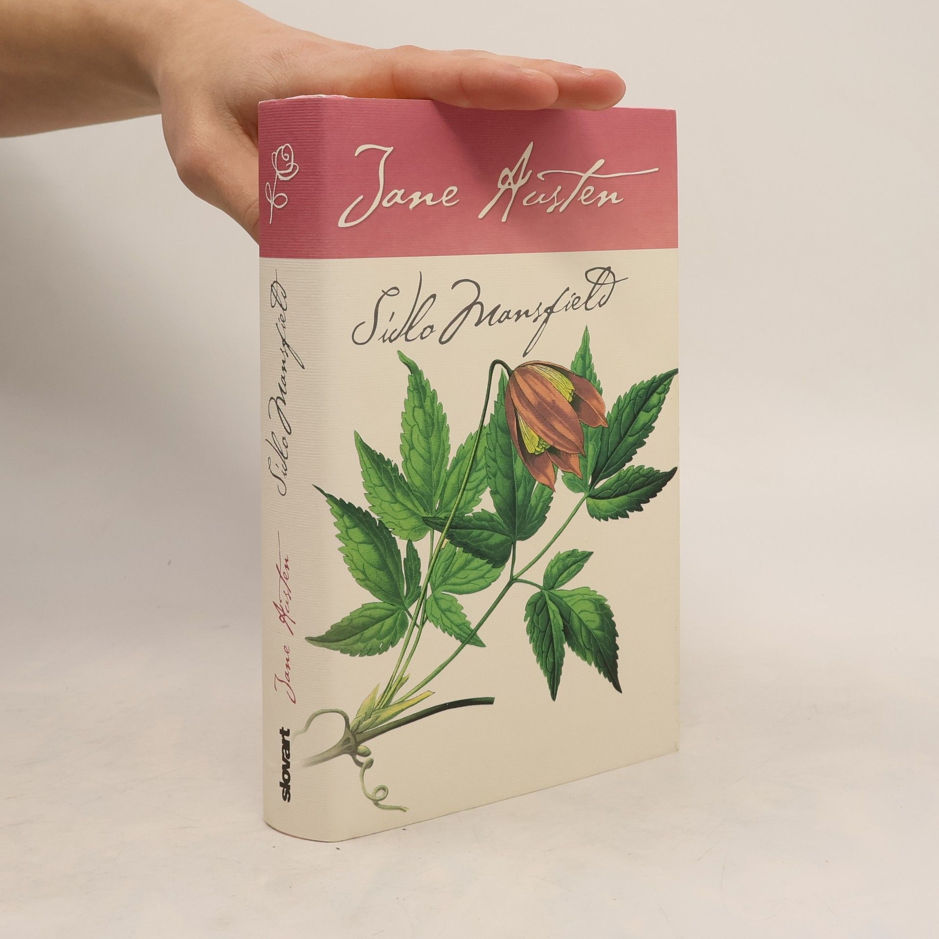 Jane Austen Sídlo Mansfield