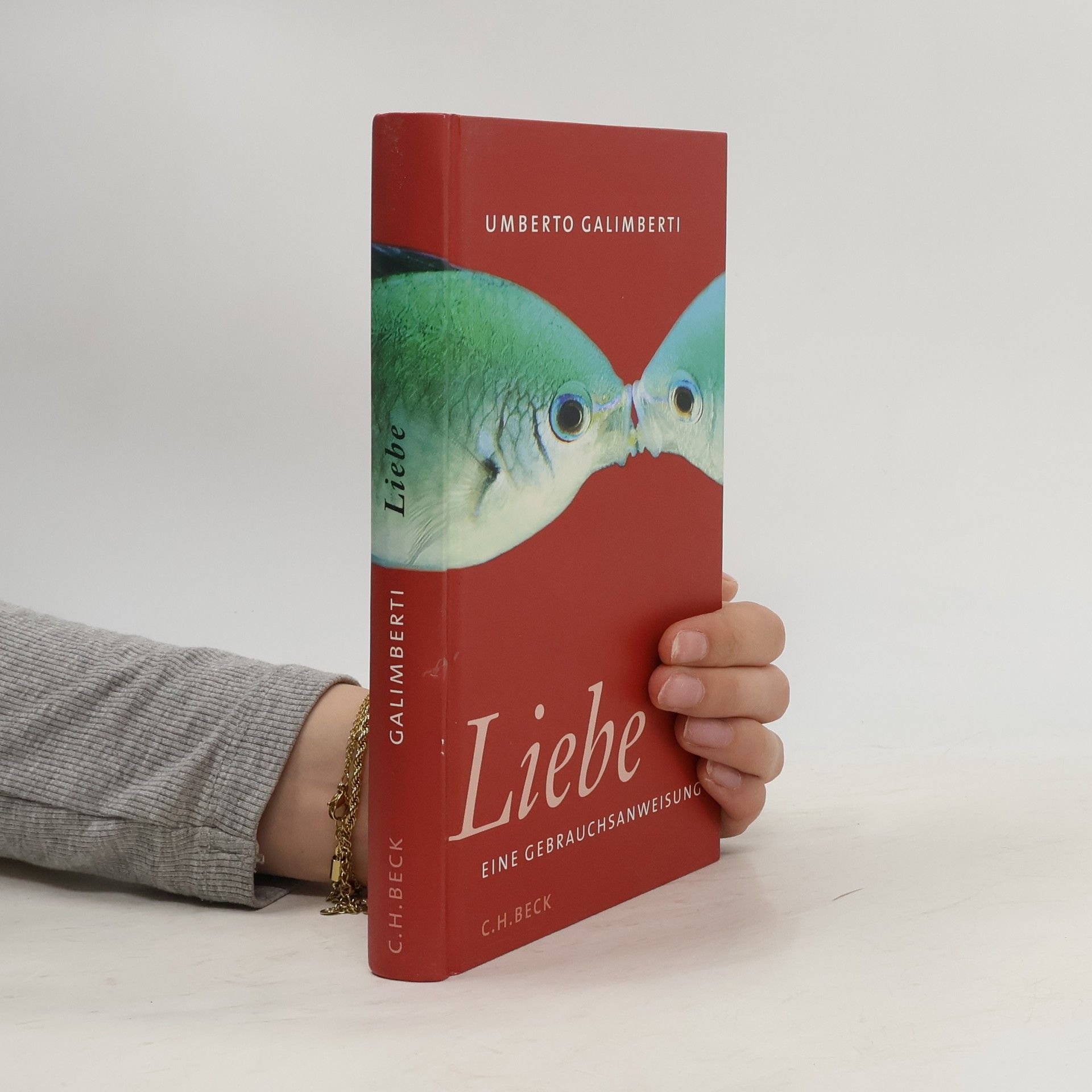 Umberto Galimberti Liebe