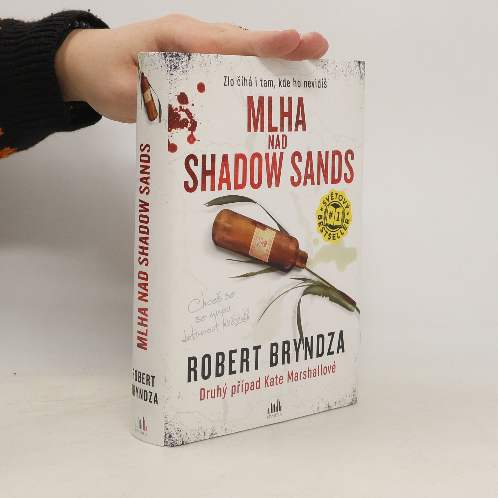 Robert Bryndza Mlha nad Shadow Sands