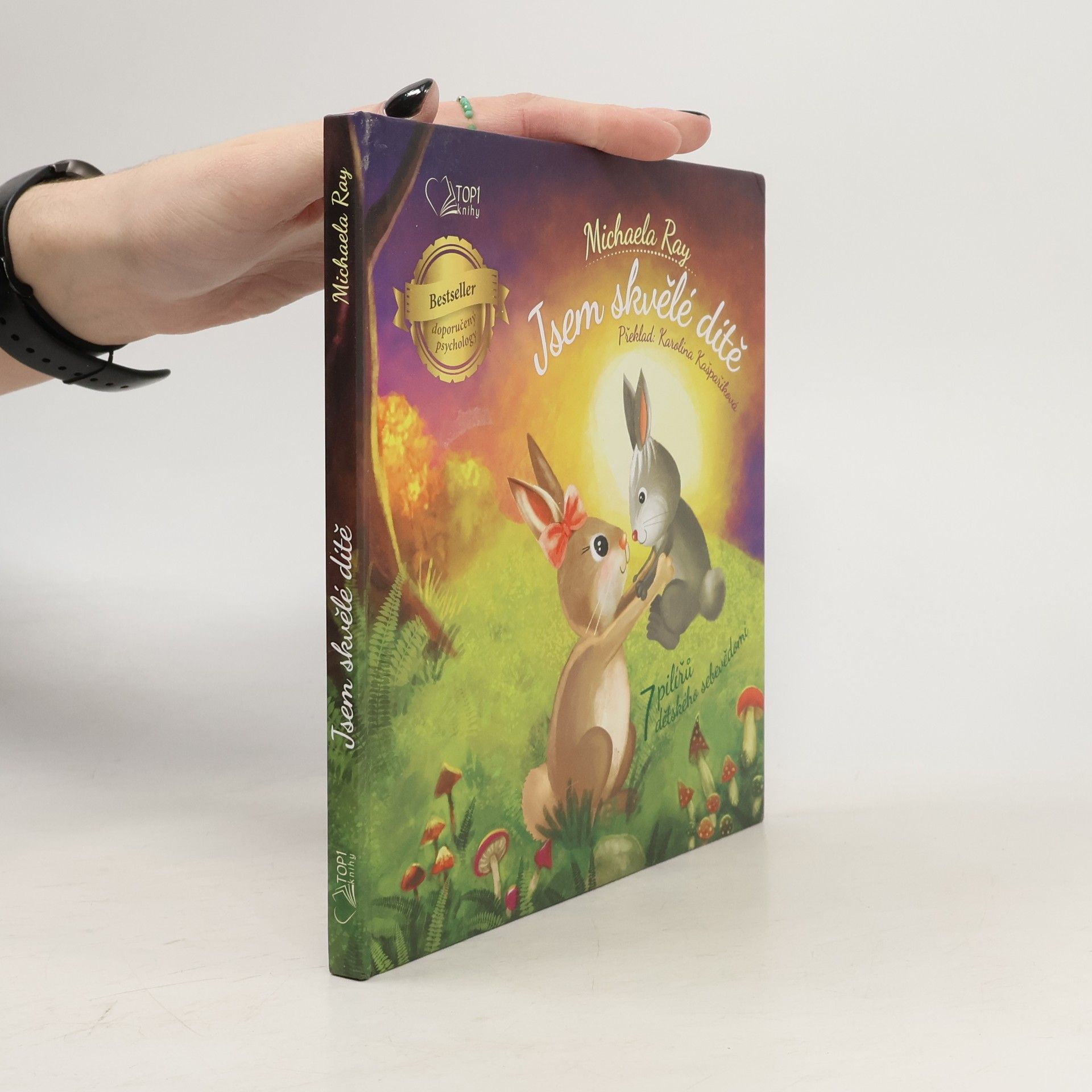 Michaela Ray Jsem skvělé dítě - 7 pilířů dětského sebevědomí