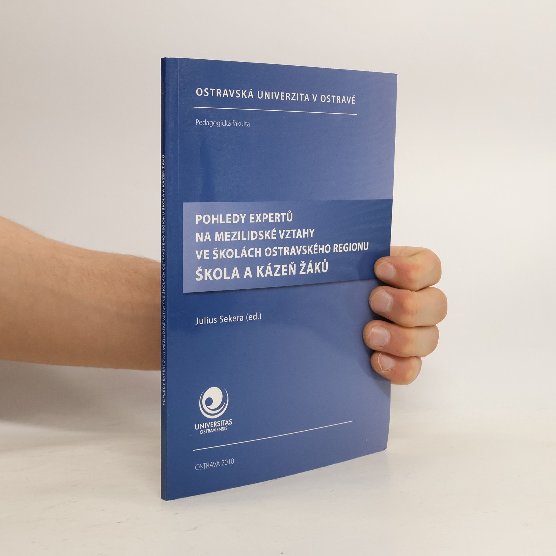 Pohledy expertů na mezilidské vztahy ve školách ostravského regionu