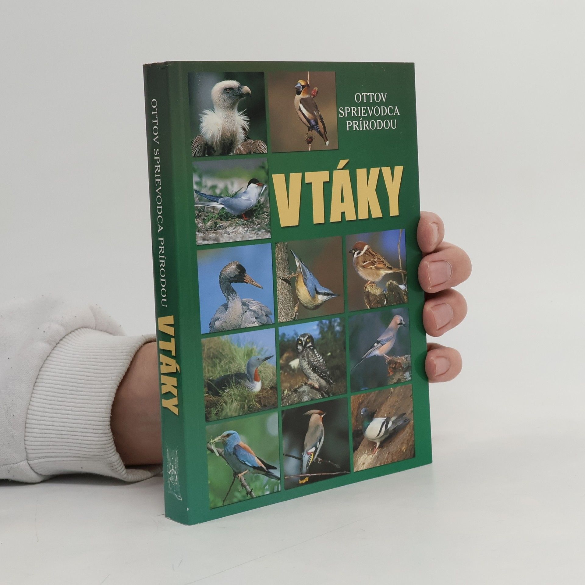 Detlef Singer Vtáky