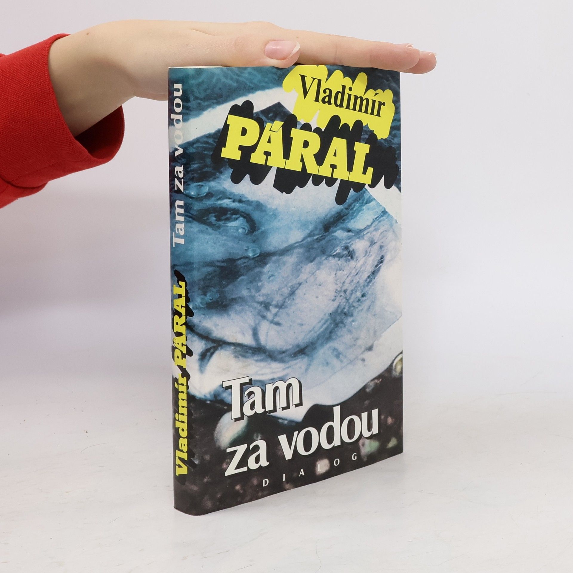Vladimír Páral Tam za vodou