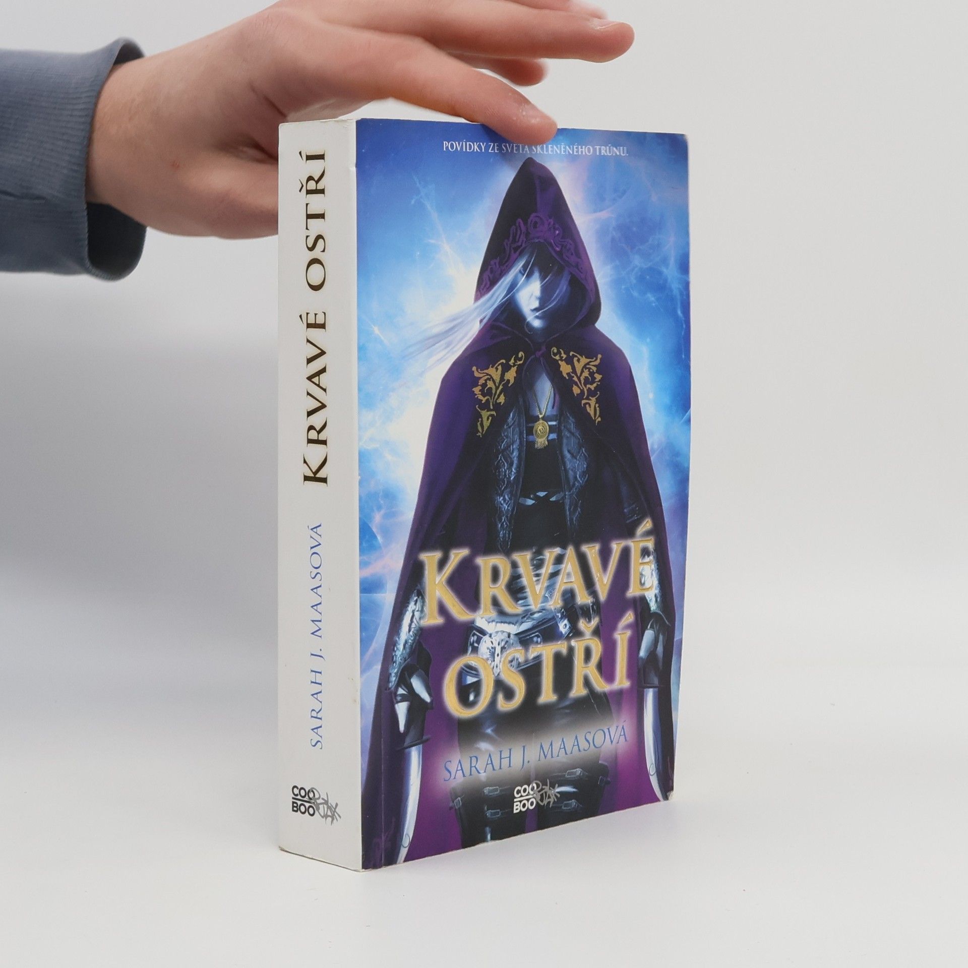 Sarah J. Maas Krvavé ostří