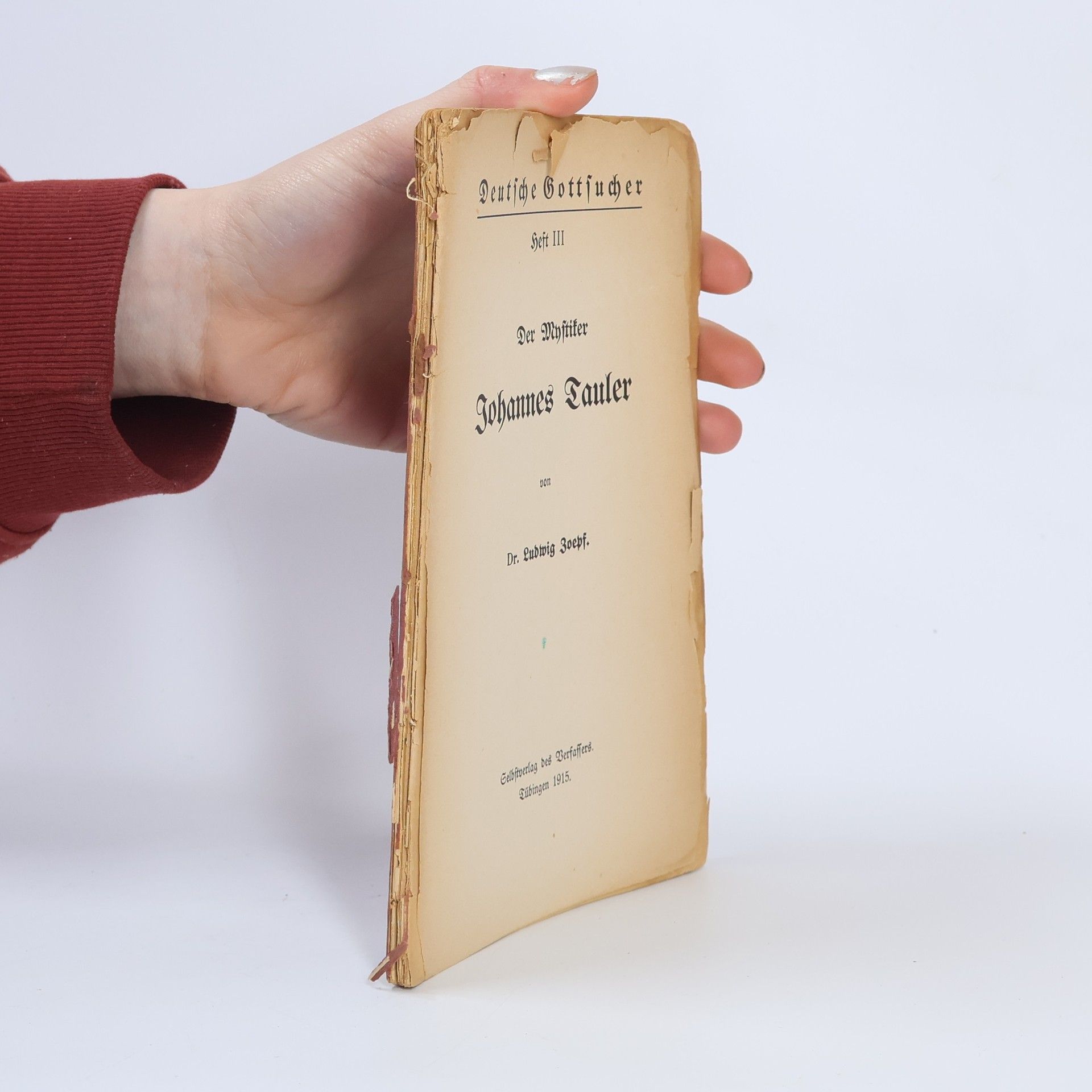 Joseph Ludwig Der Mystiker Johannes Tauler