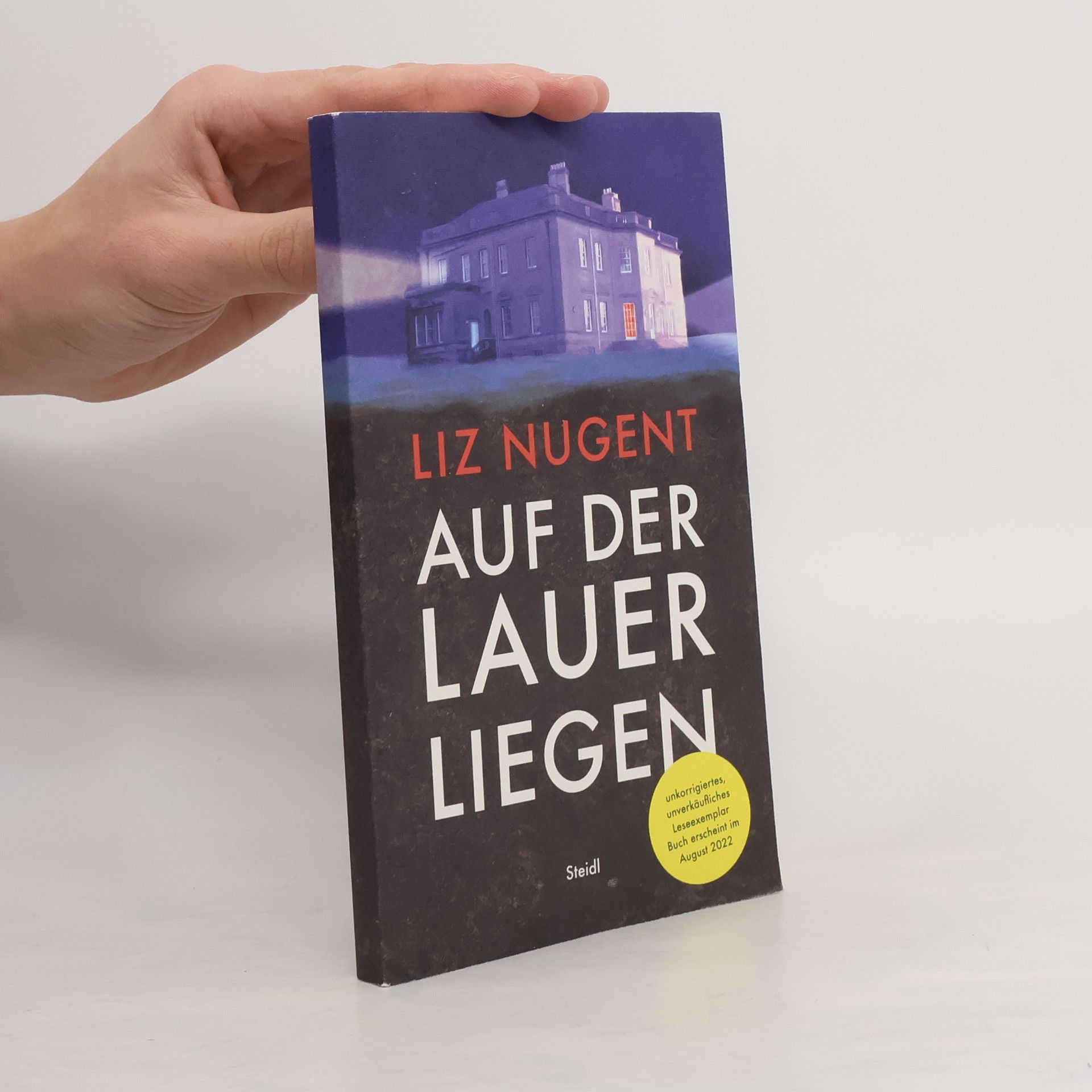 Liz Nugent Auf der Lauer liegen