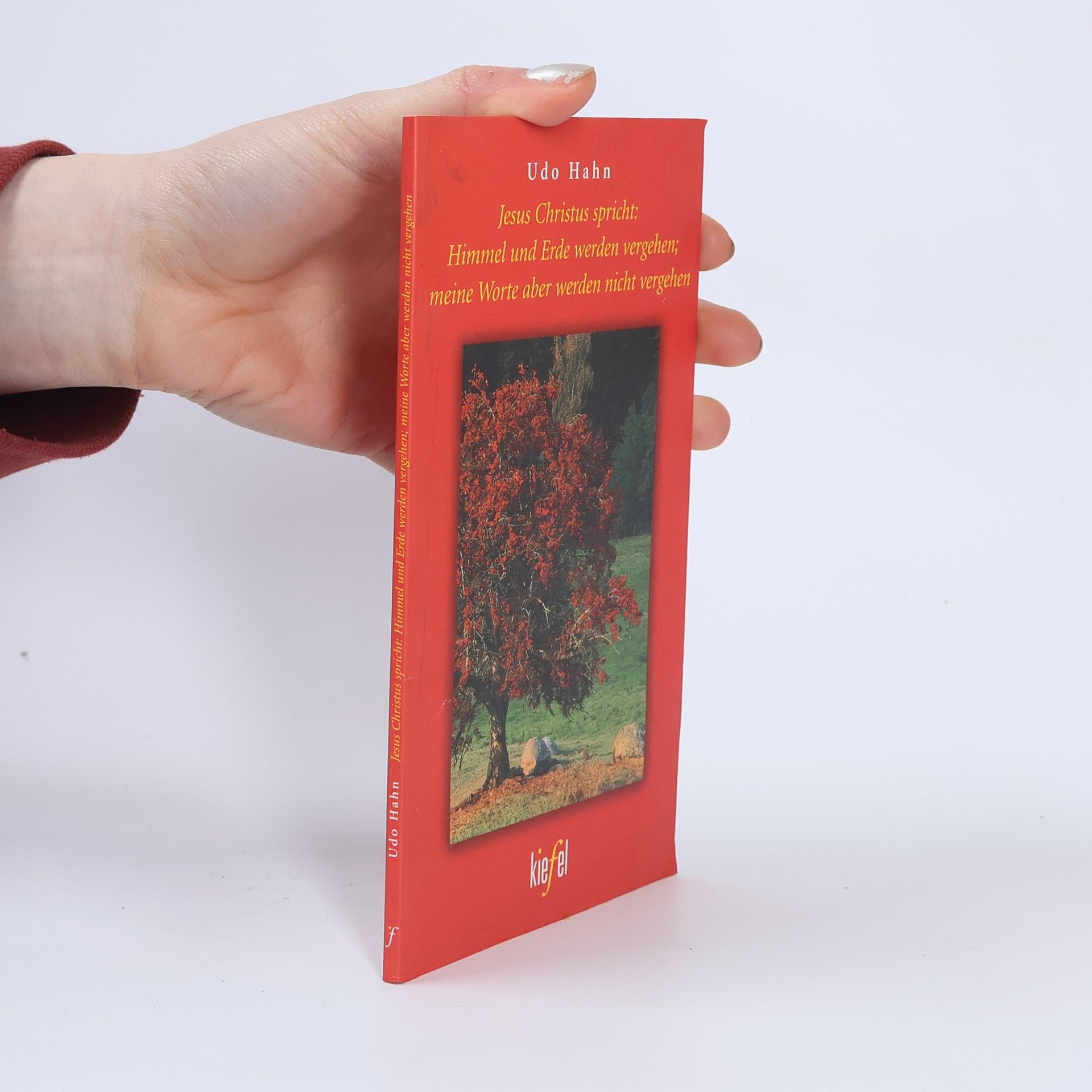 Udo Hahn Jesus Christus spricht