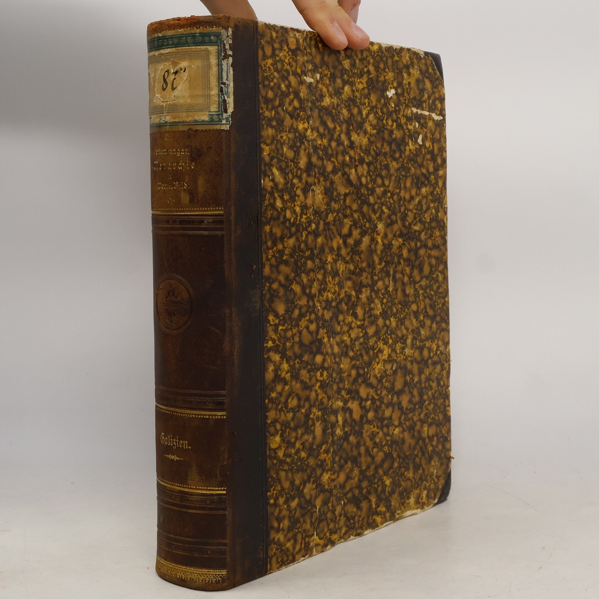 Kolektiv autorů Die österreichisch-ungarische Monarchie in Wort und Bild. Galizien