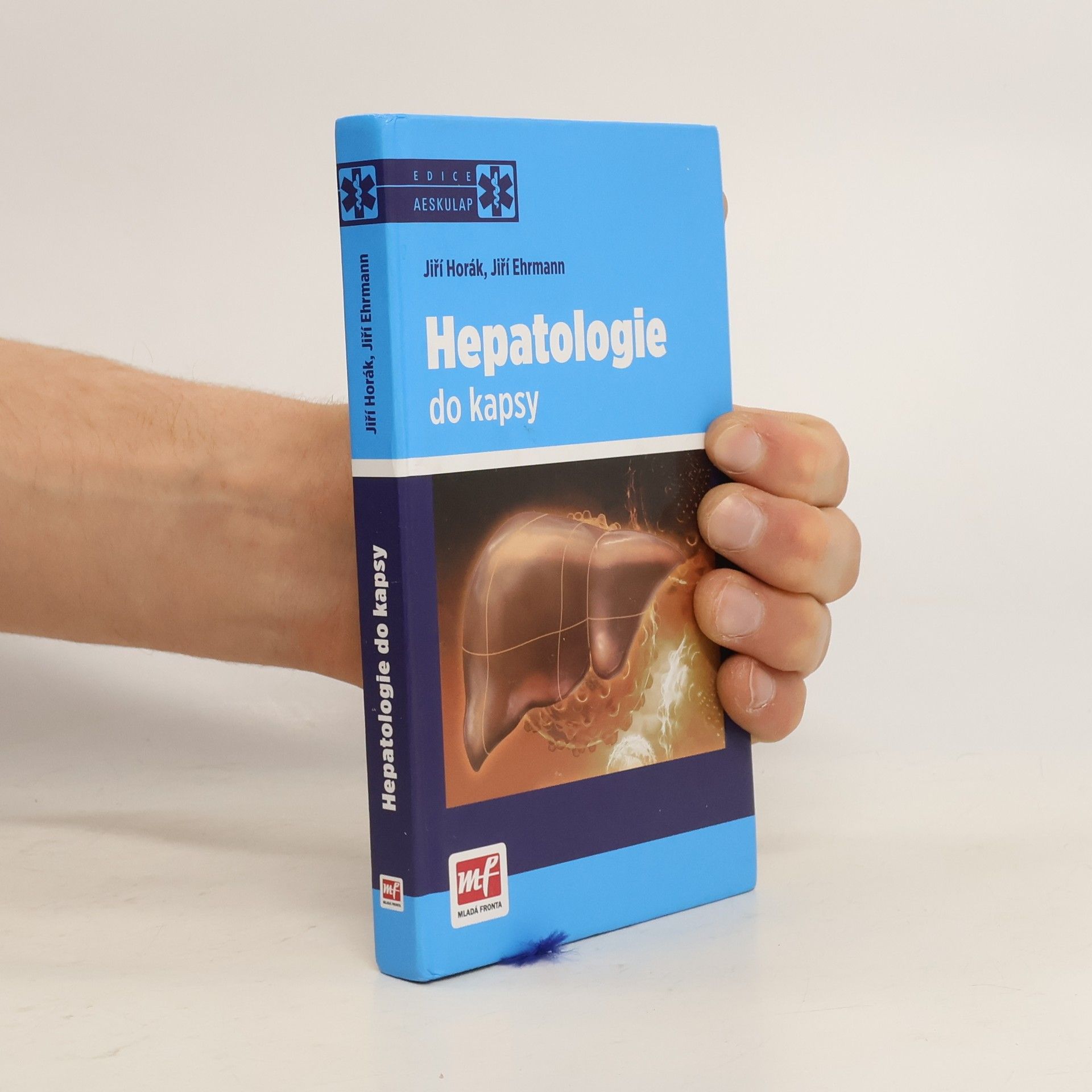 Jiří Horák Hepatologie do kapsy