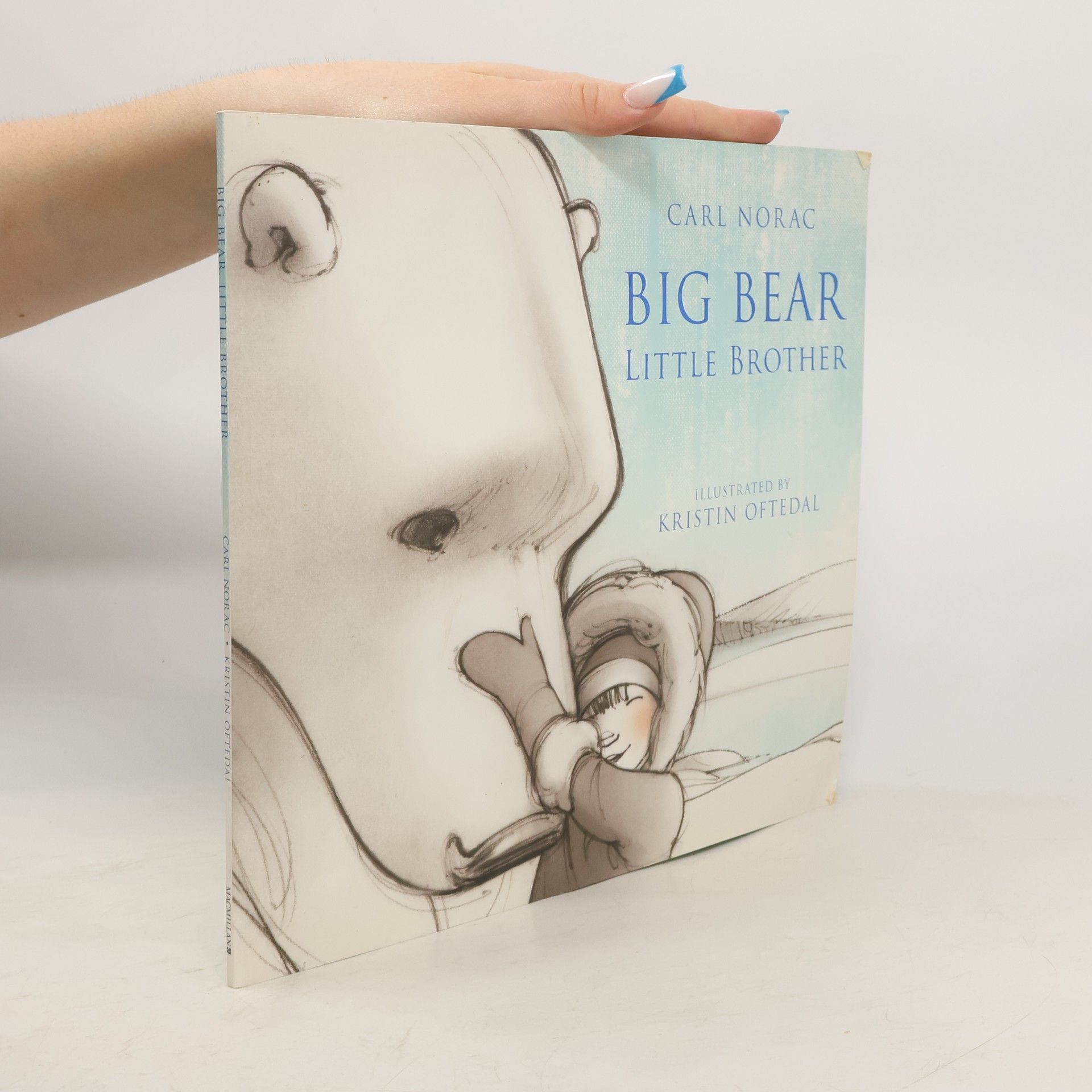 Big Bear, Little Brother