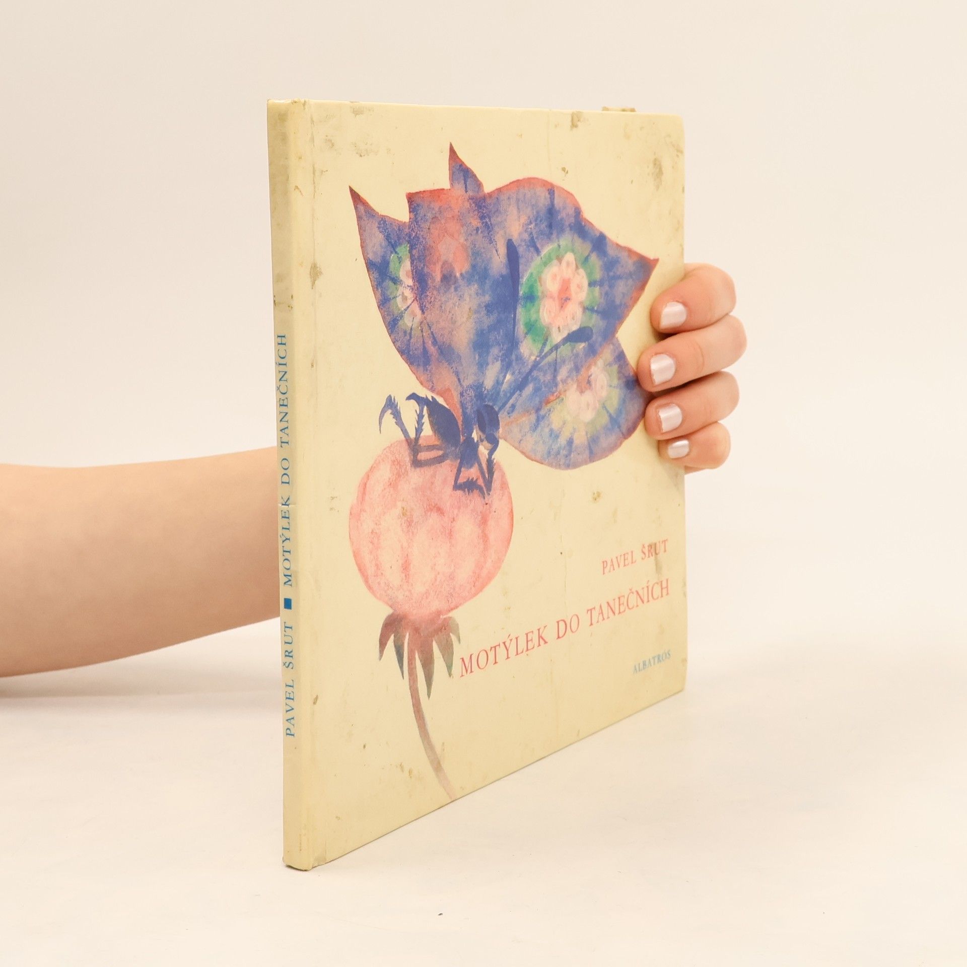 Pavel Šrut Motýlek do tanečních