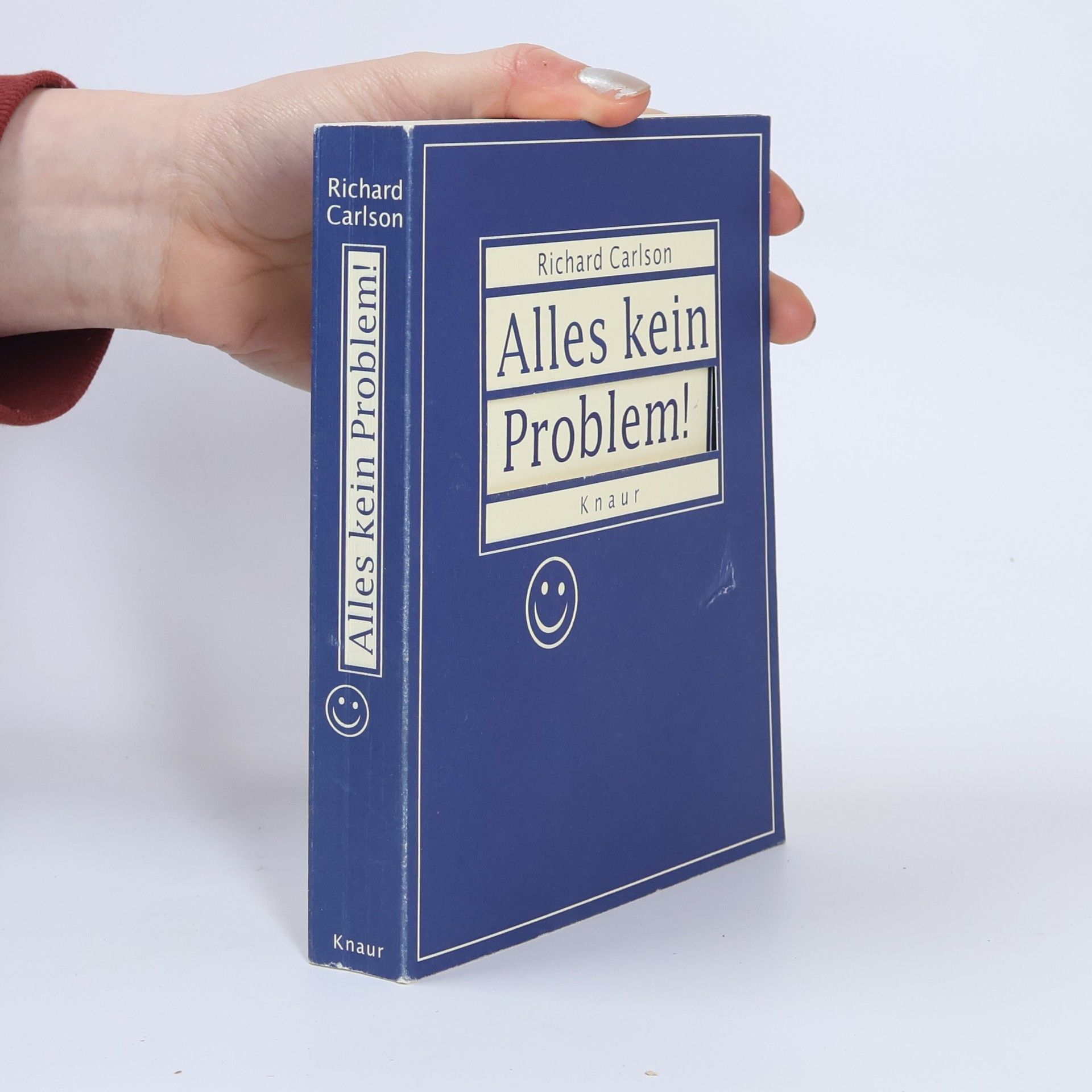 Richard Carlson Alles kein Problem!