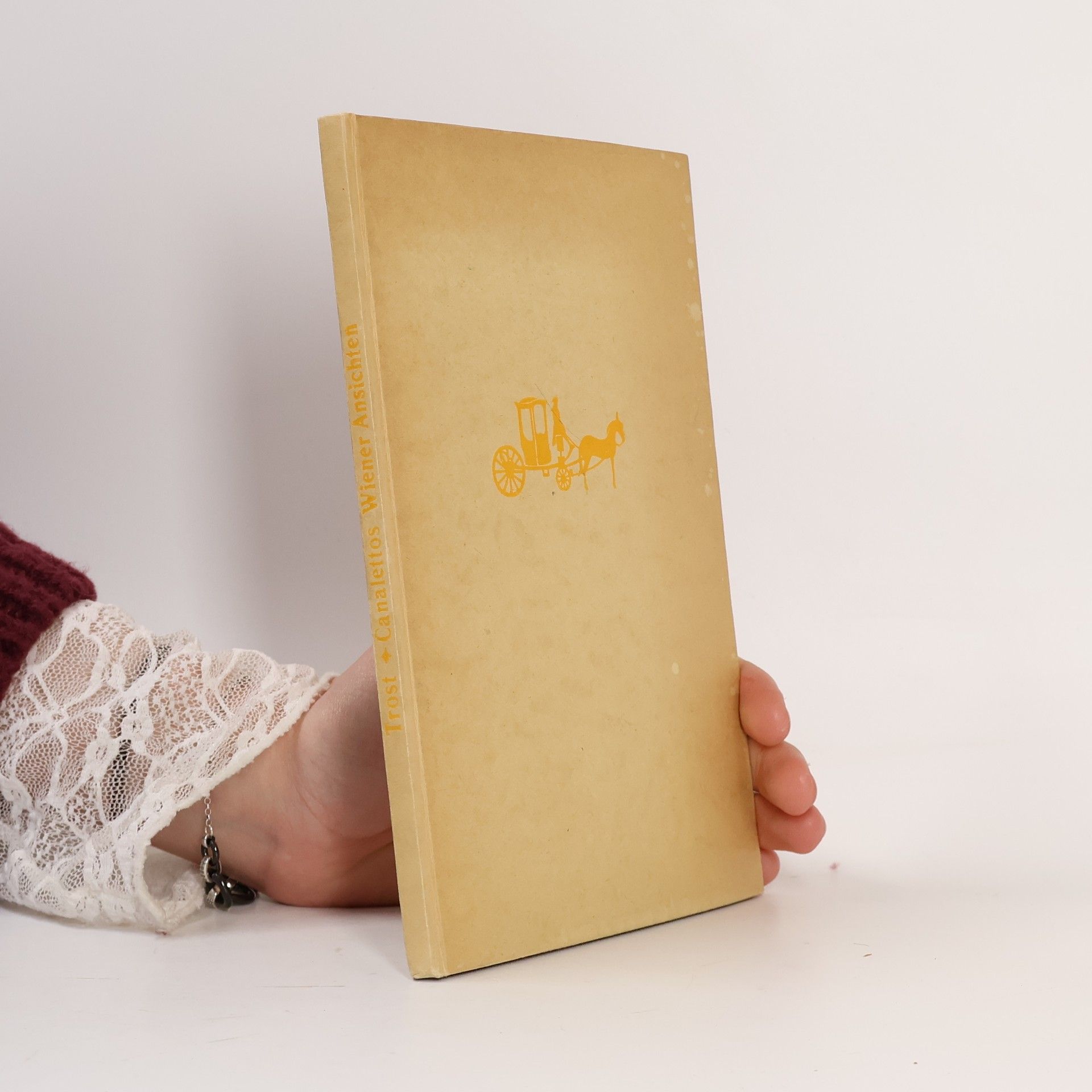 Alois Trost Canalettos Wiener Ansichten