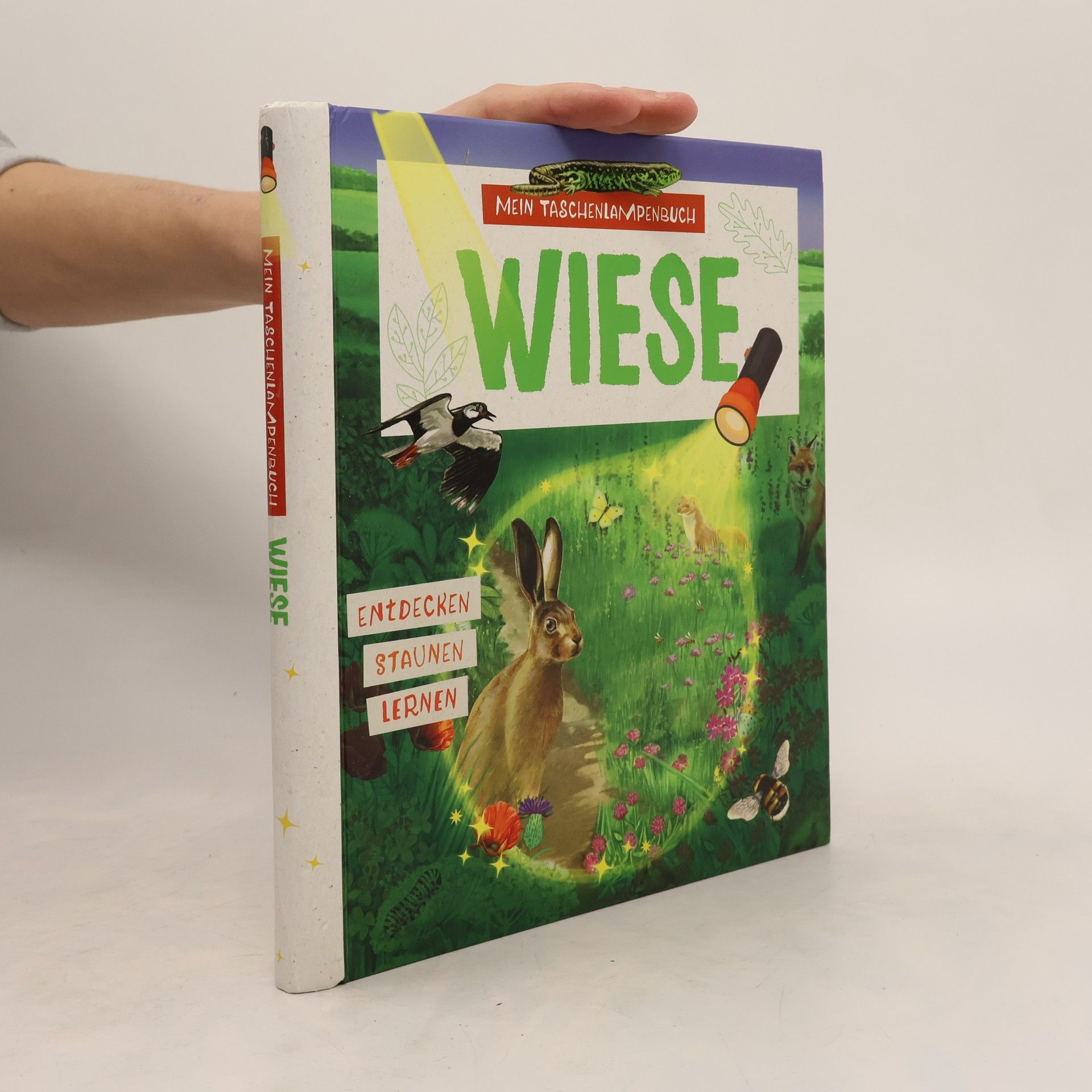 Kolektiv autorů Mein Taschenlampenbuch Wiese