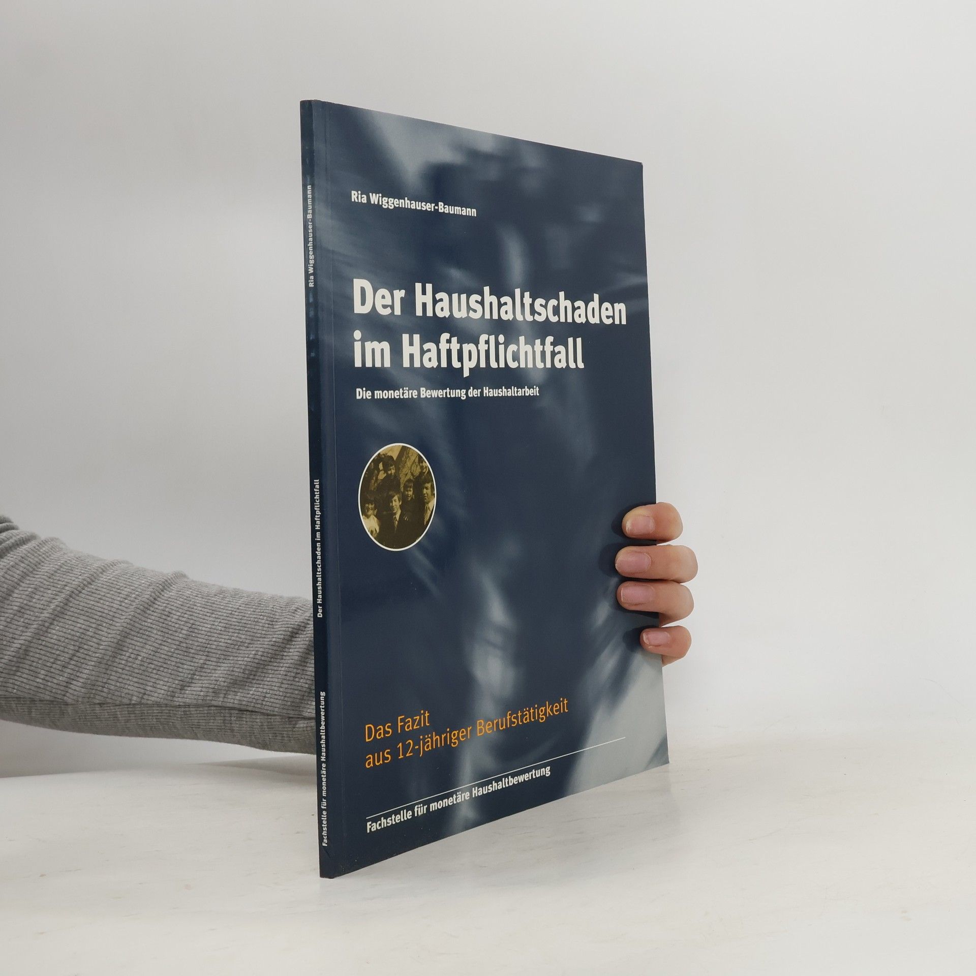 Autores varios Der Haushaltschaden im Haftpflichtfall