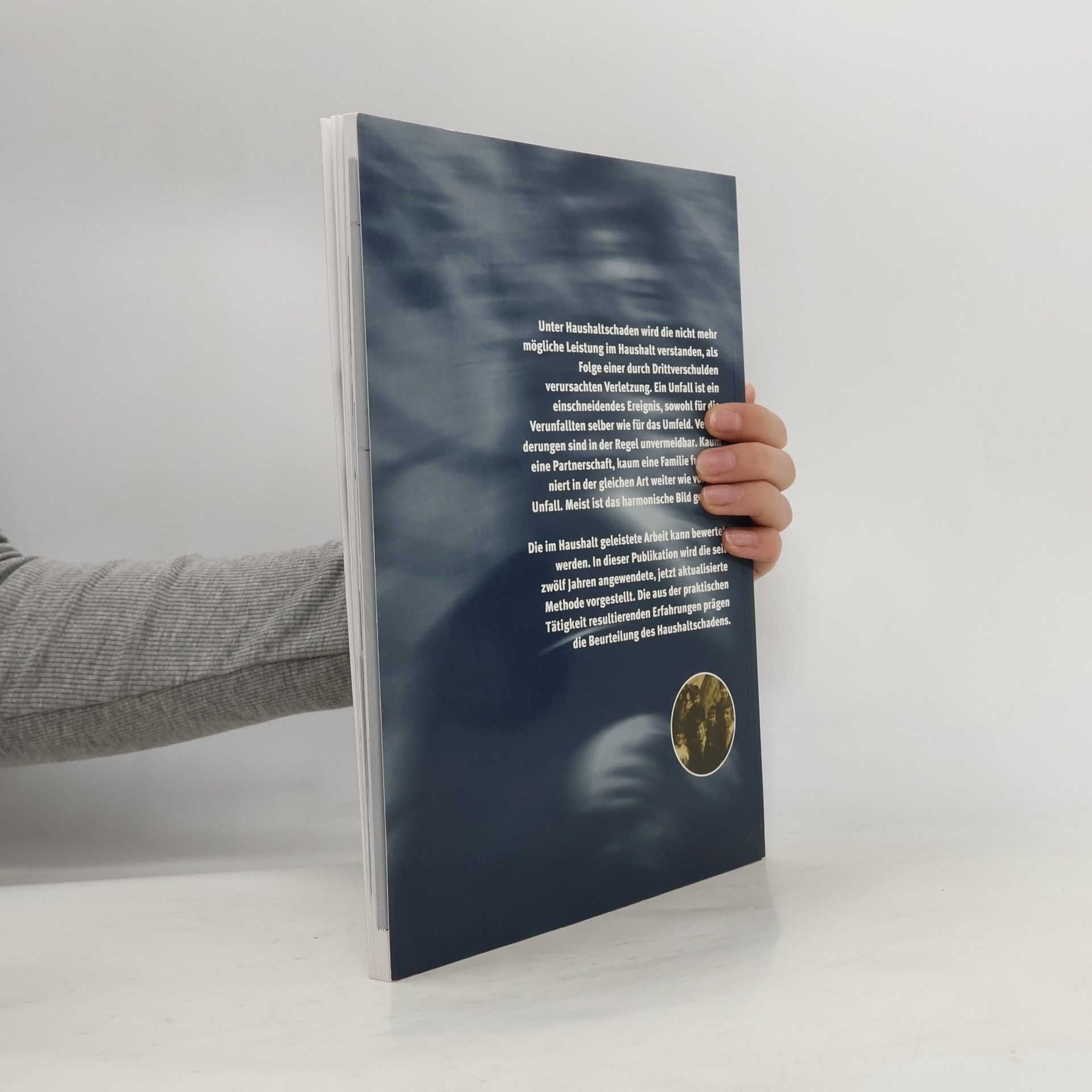 Autores varios Der Haushaltschaden im Haftpflichtfall